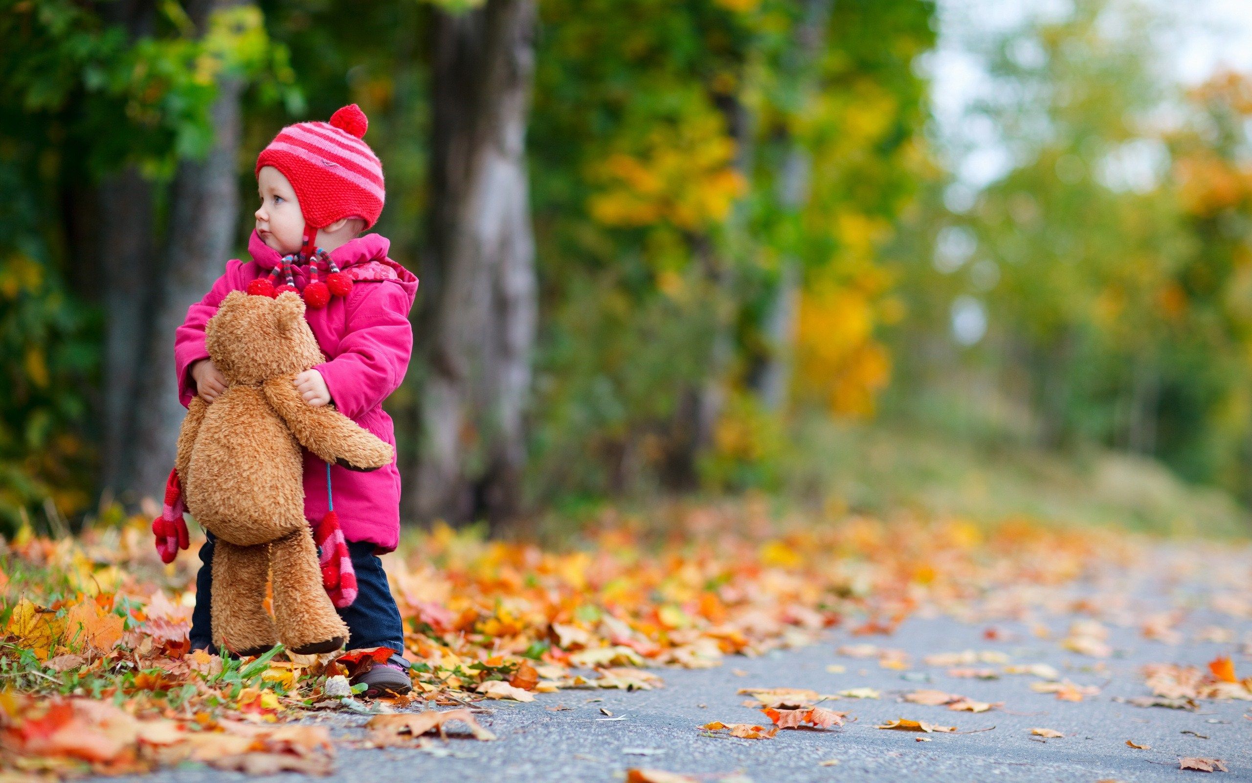 Child Girl Bear Toy Autumn Leaves Nature Photo