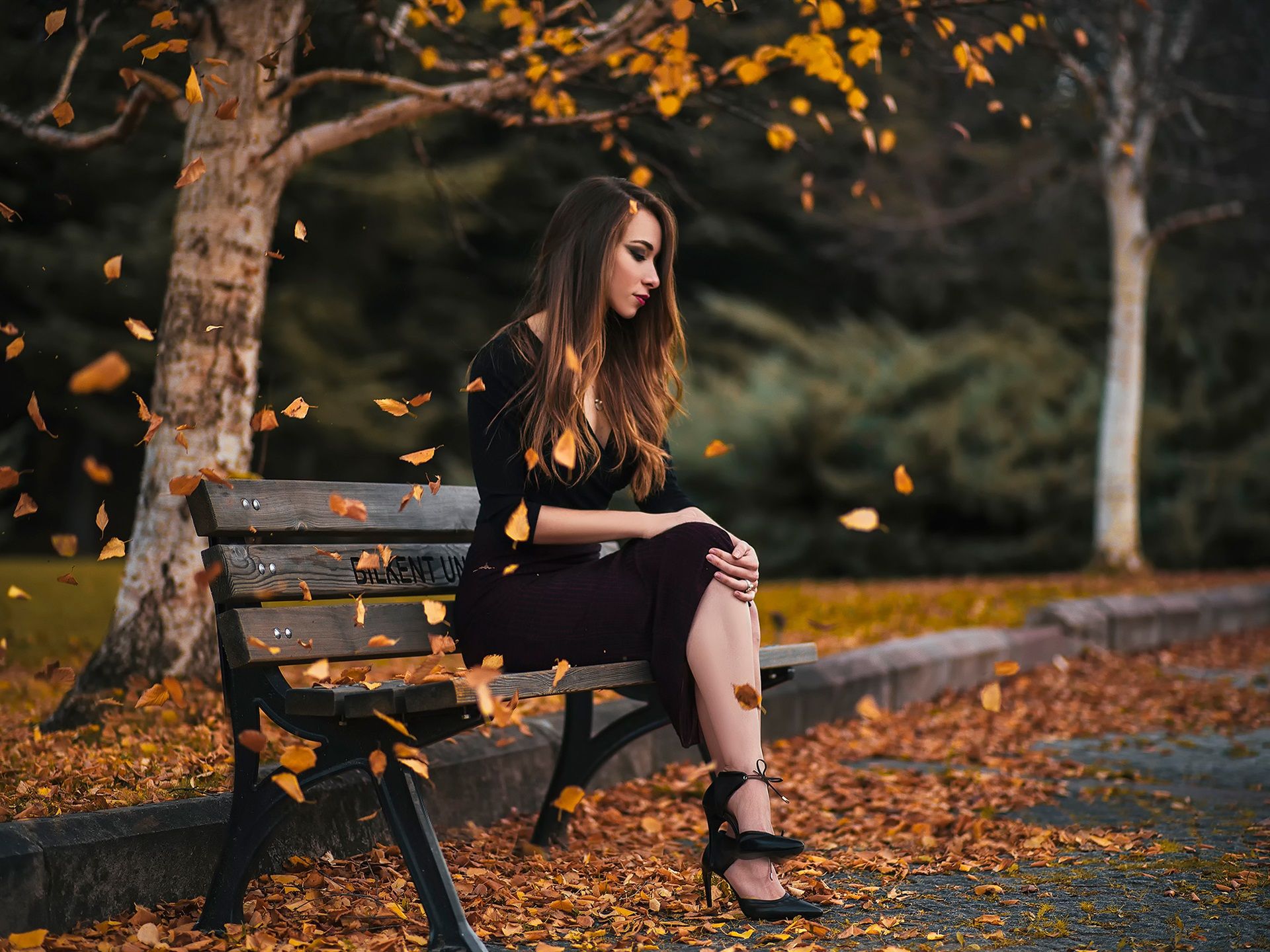 Wallpaper Girl sit on bench, park, leaves, autumn 1920x1440 HD