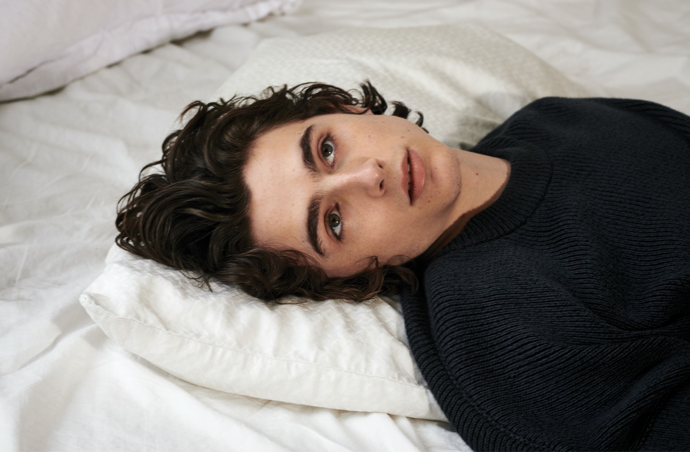 Timothee Chalamet wallpaper