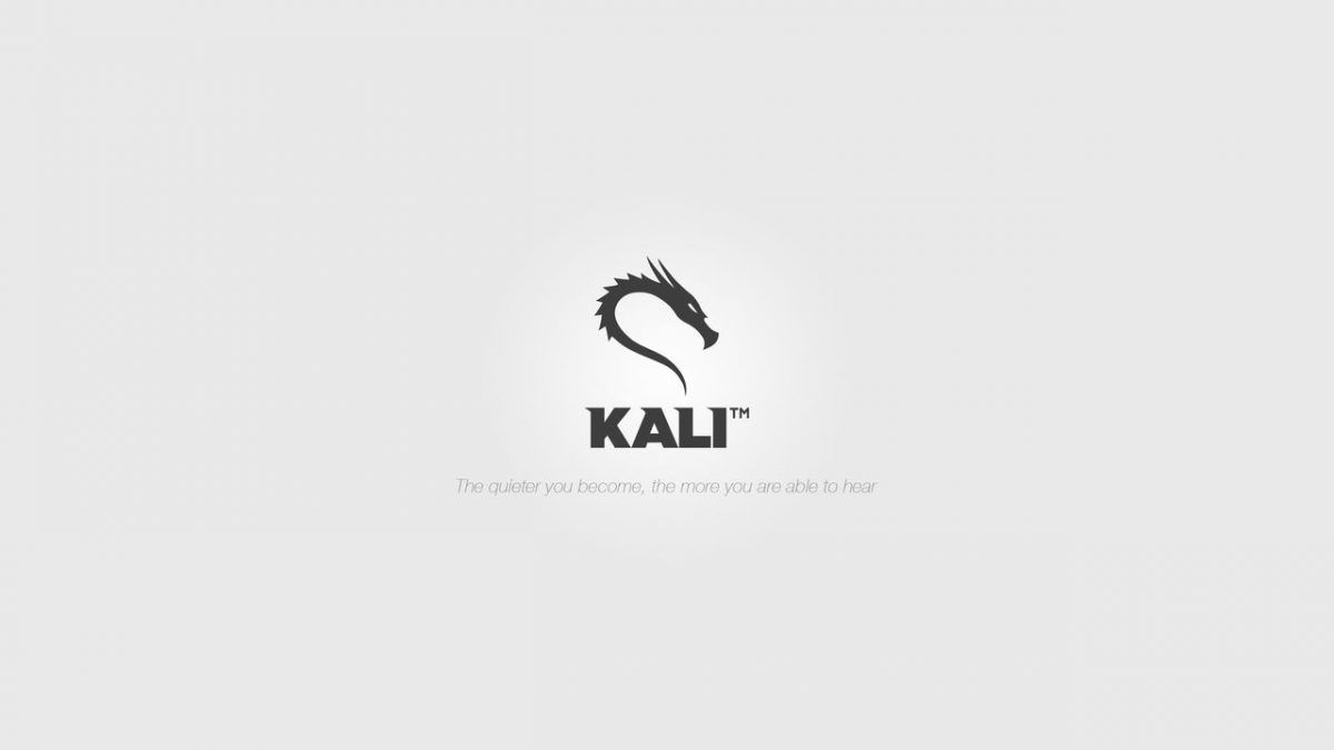 Download Kali Linux 2019.3 Penetration Testing