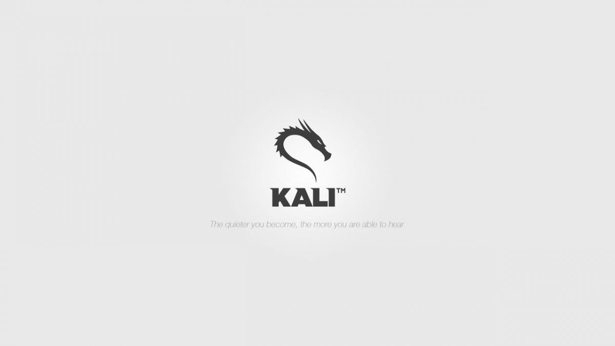 kali linux for bluestacks android emulator