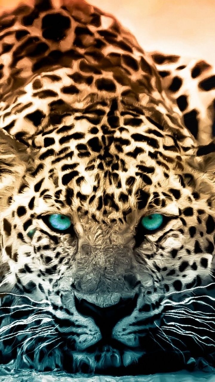 Animal Leopard (720x1280) Wallpaper