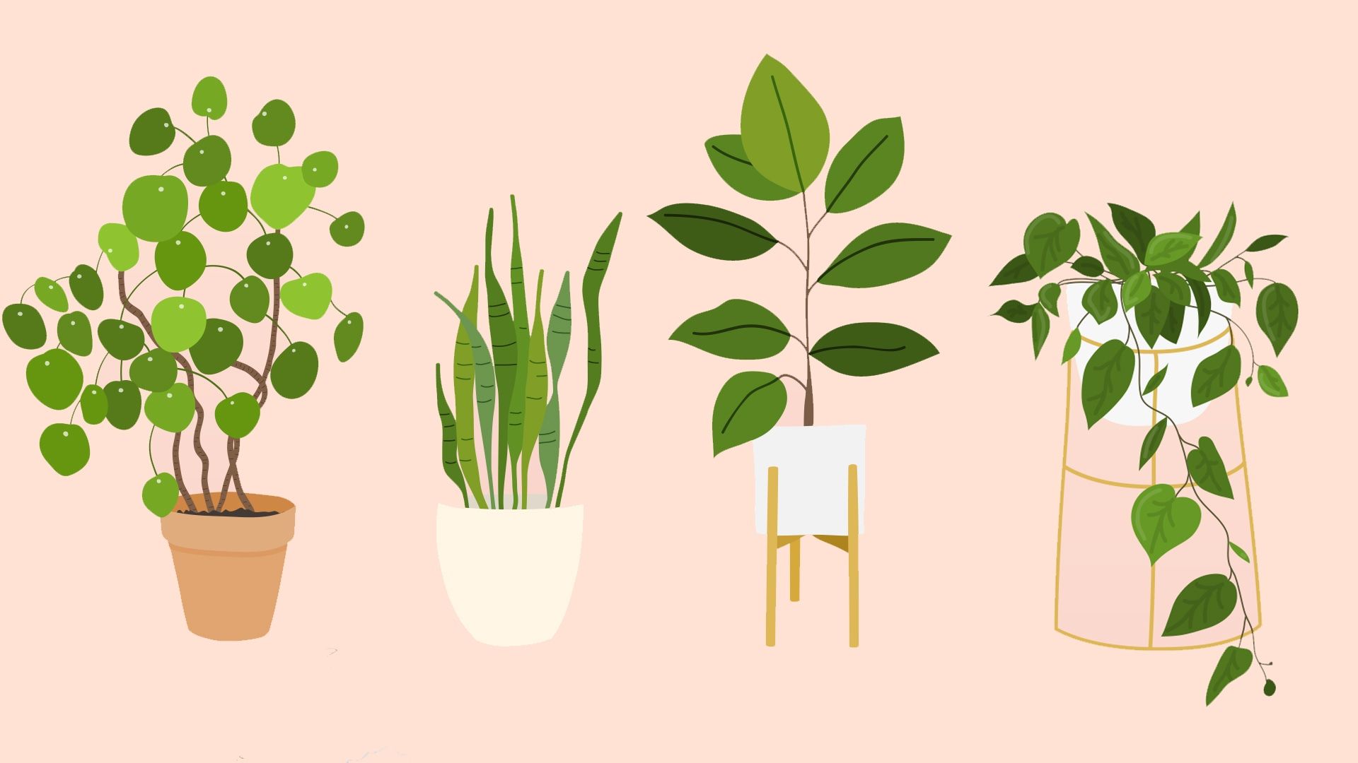 The Best Houseplants That Basically Anyone Can Keep Alive