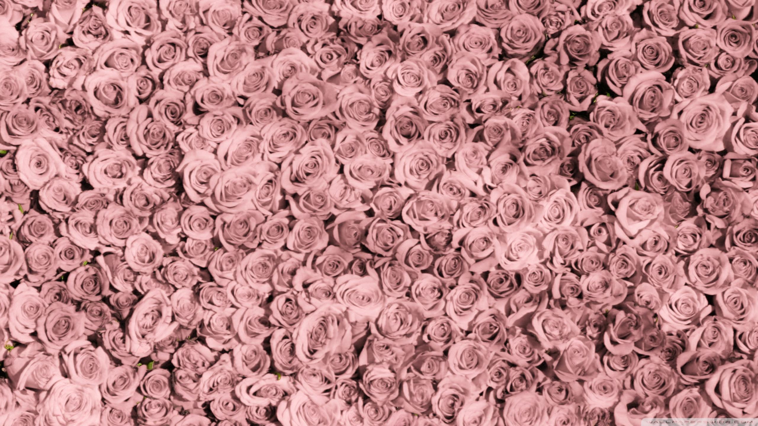 Rose Gold Aesthetic Wallpapers - Wallpaper Cave
