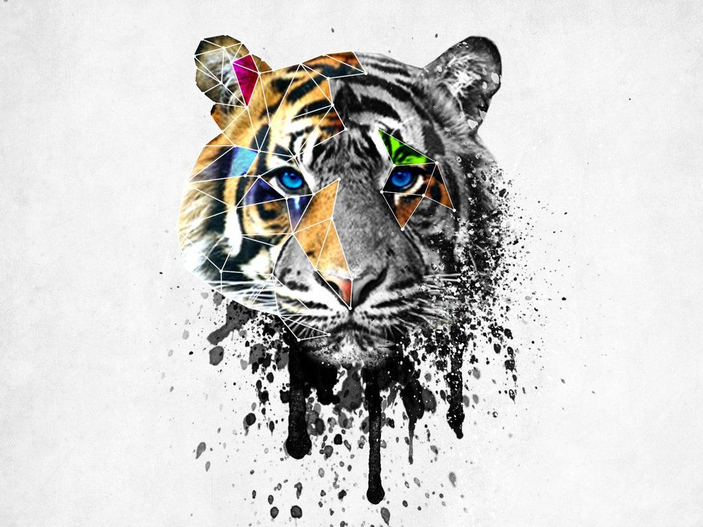 Tiger drawing sketch wildlife. AI | Premium Photo Illustration - rawpixel