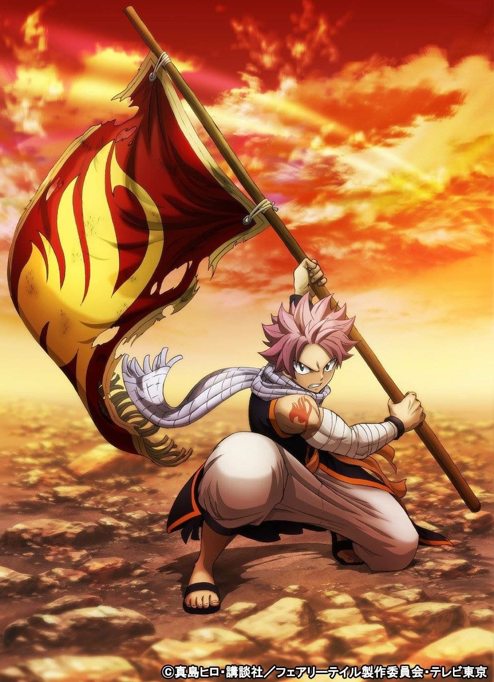 Fairy Tail Flag Mobile Wallpapers Wallpaper Cave