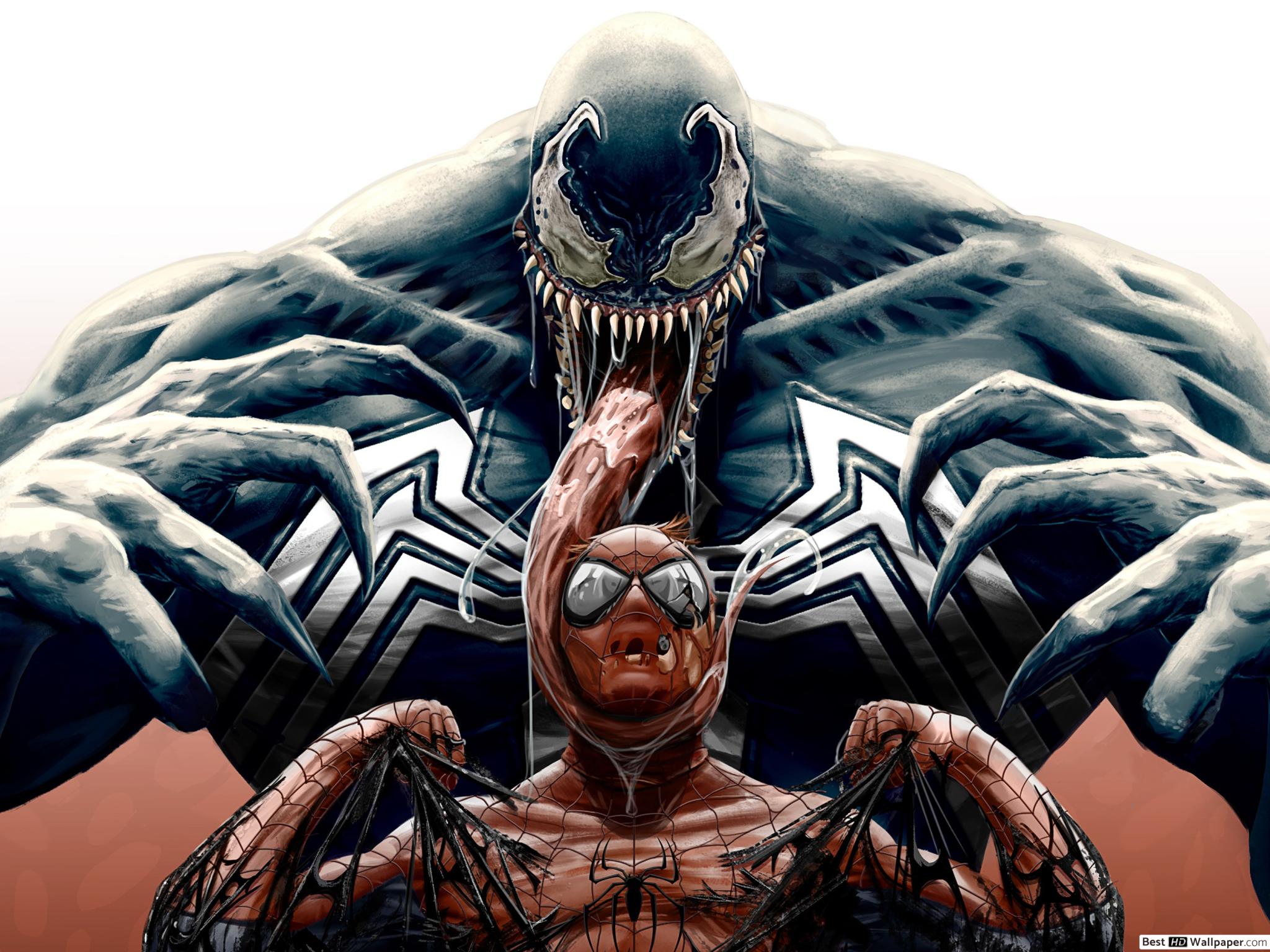 Marvel Venom Vs Spiderman HD wallpaper download