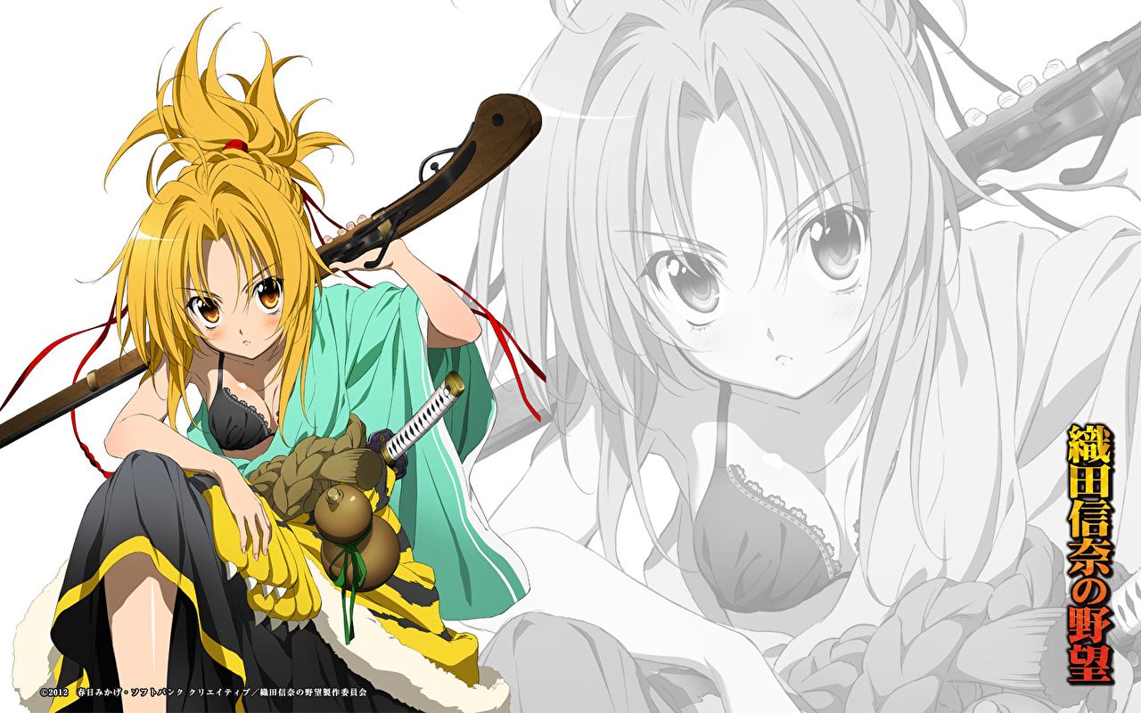 image Oda Nobuna no Yabou Anime female