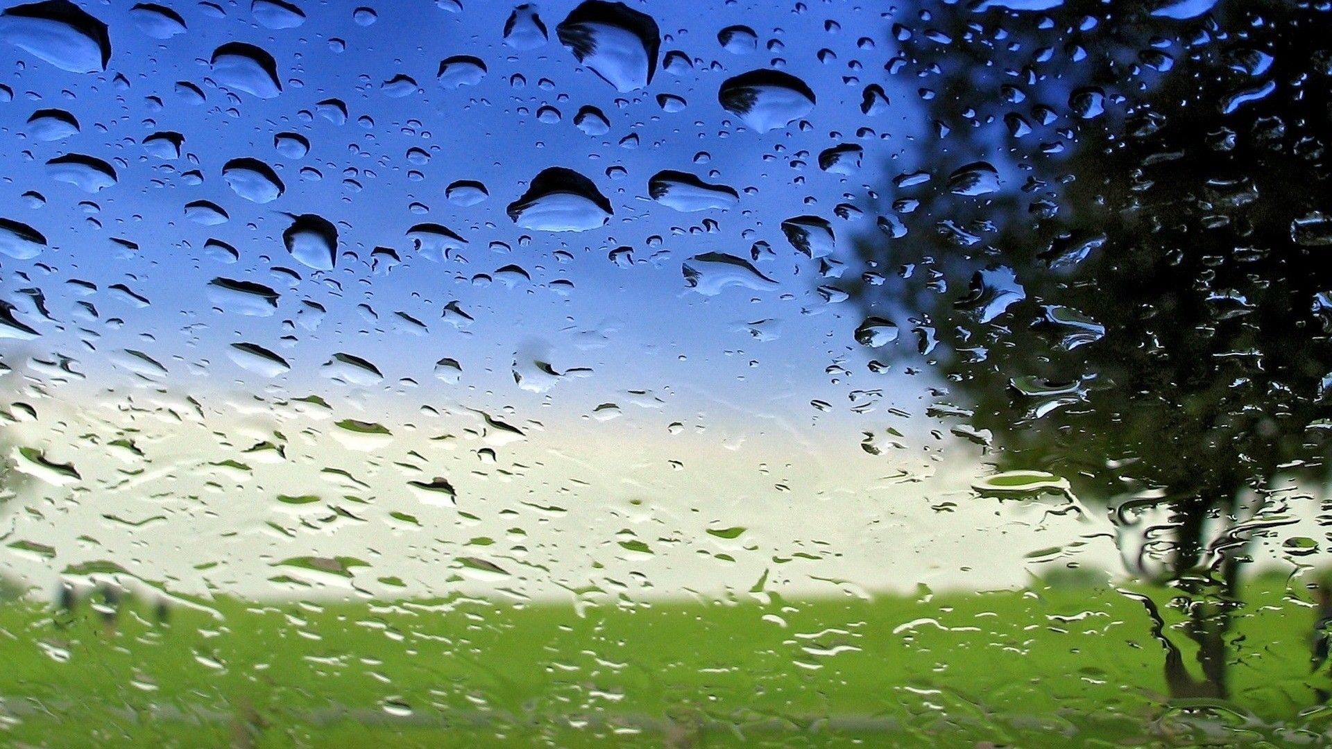 drops, Rain, Nature, Landscapes, Window, Glass, Trees, Spring