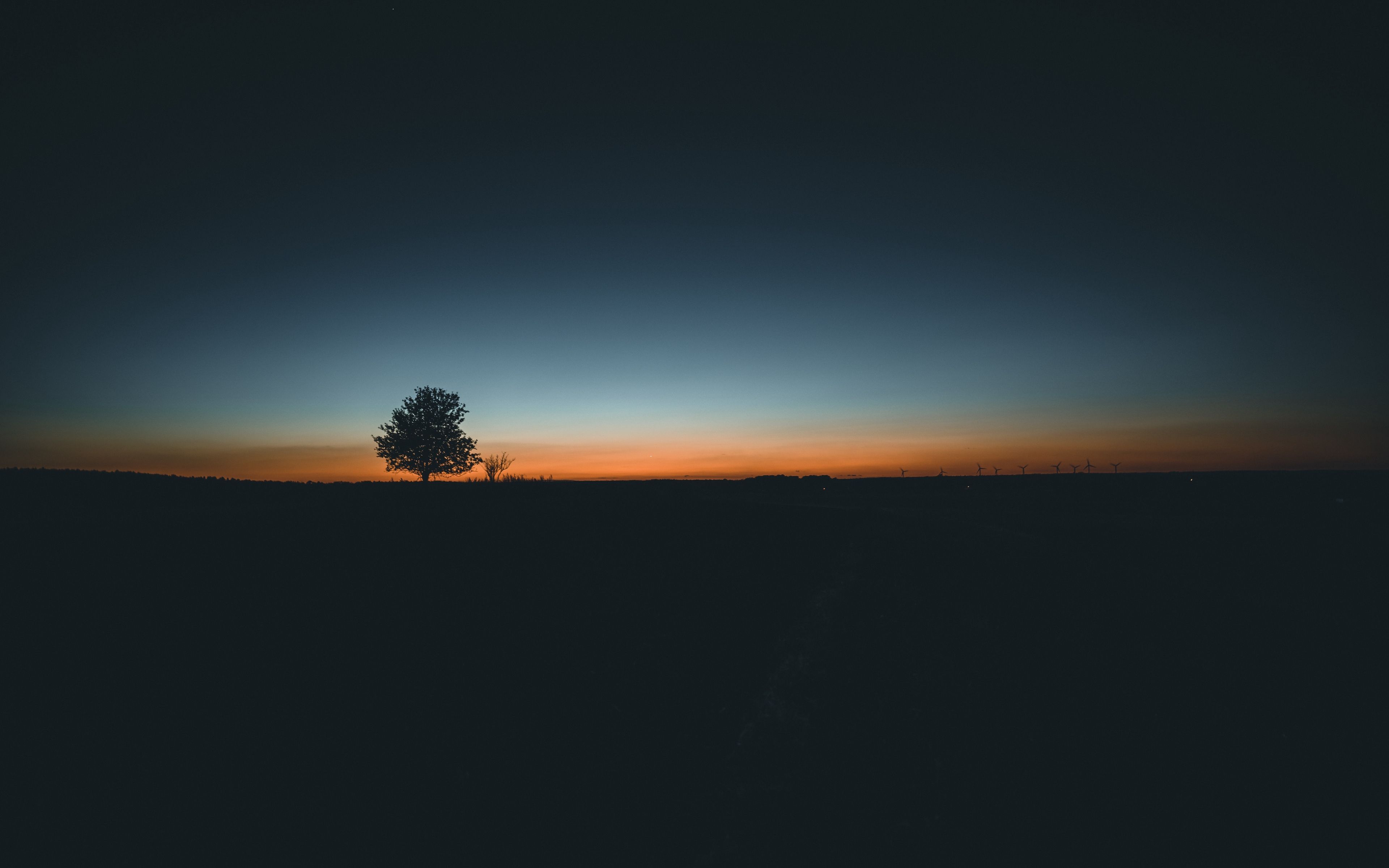 Download wallpaper 3840x2400 tree, horizon, minimalism, sunset 4k