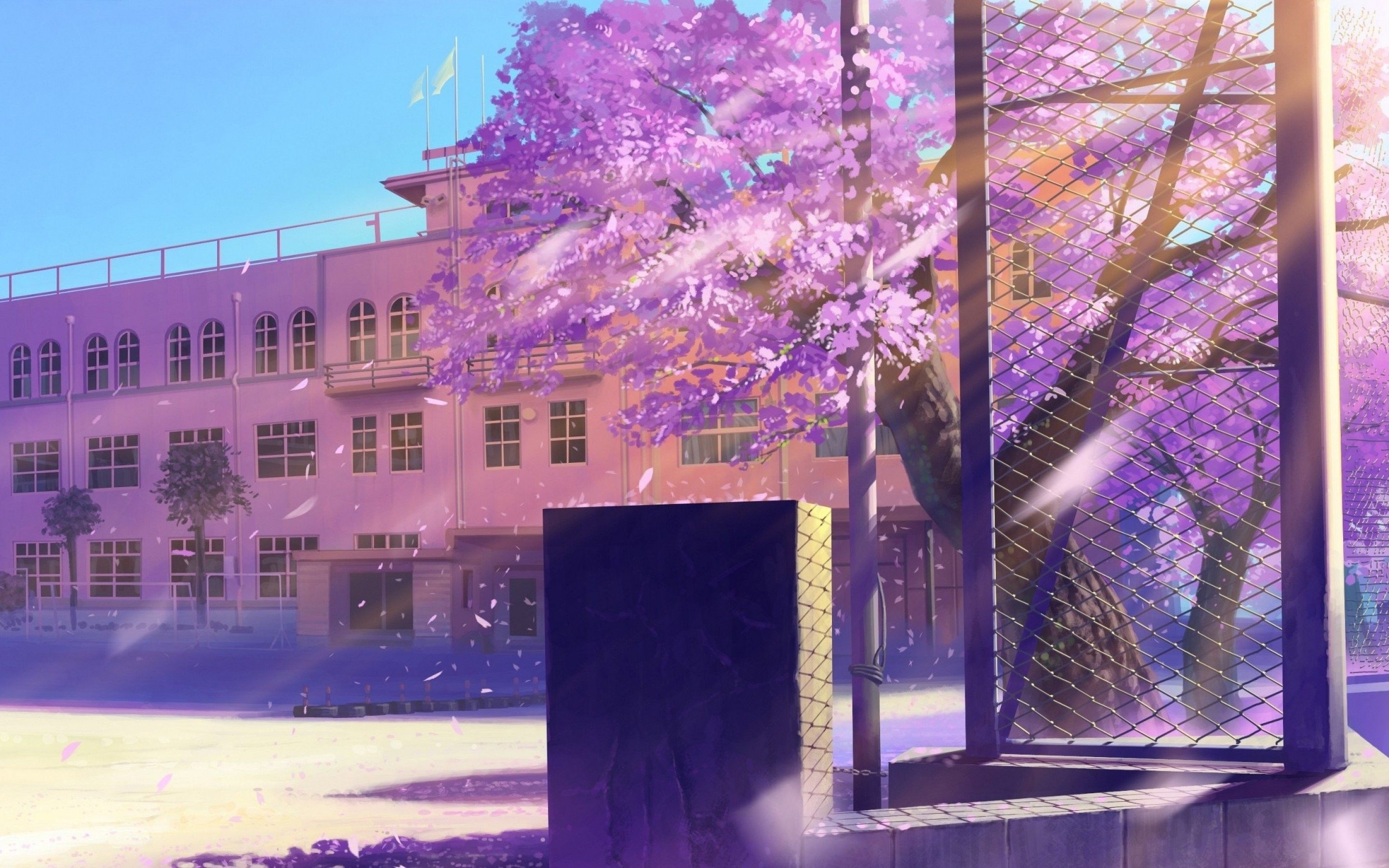 Anime Aesthetic Background