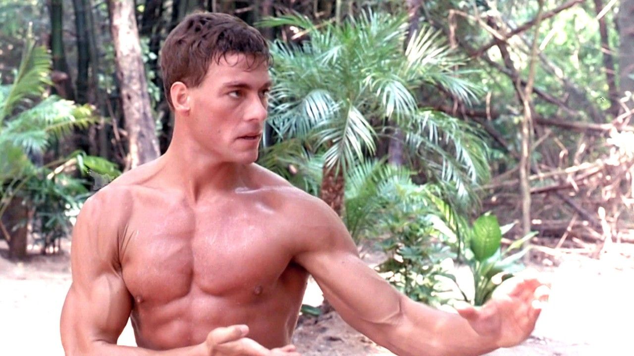 hd wallpaper van damme kickboxer