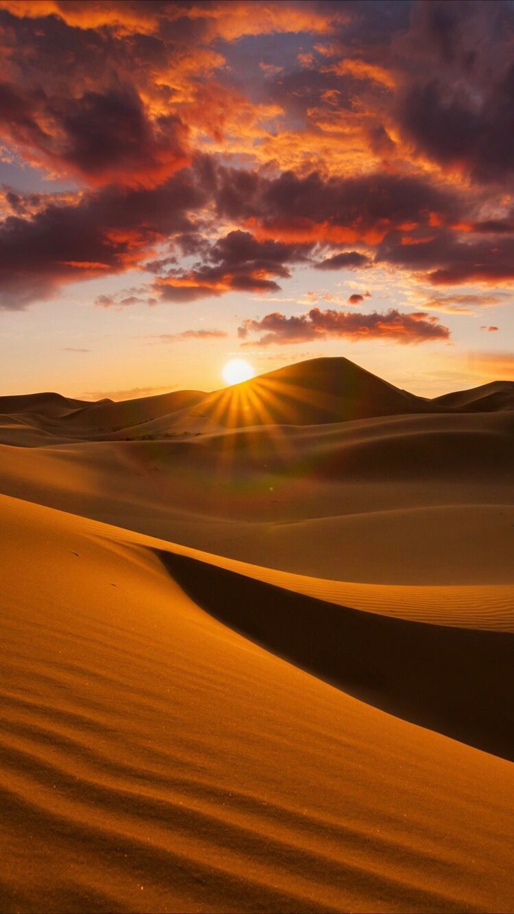 Desert wallpapers for your iPhone XS from Everpix