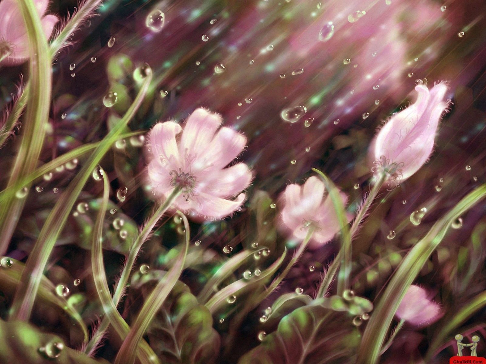 Image detail for -3D Rain Drops Fall On Flowers Wallpaper. Summer