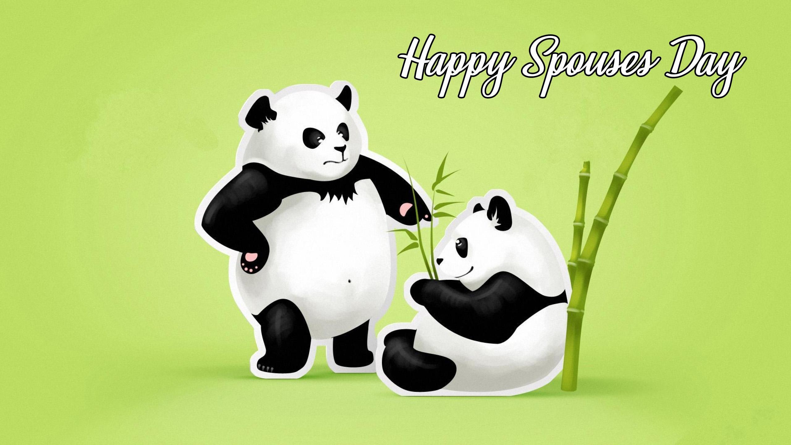 Panda Wallpaper Picture HD Image Free Photo 4K for Android