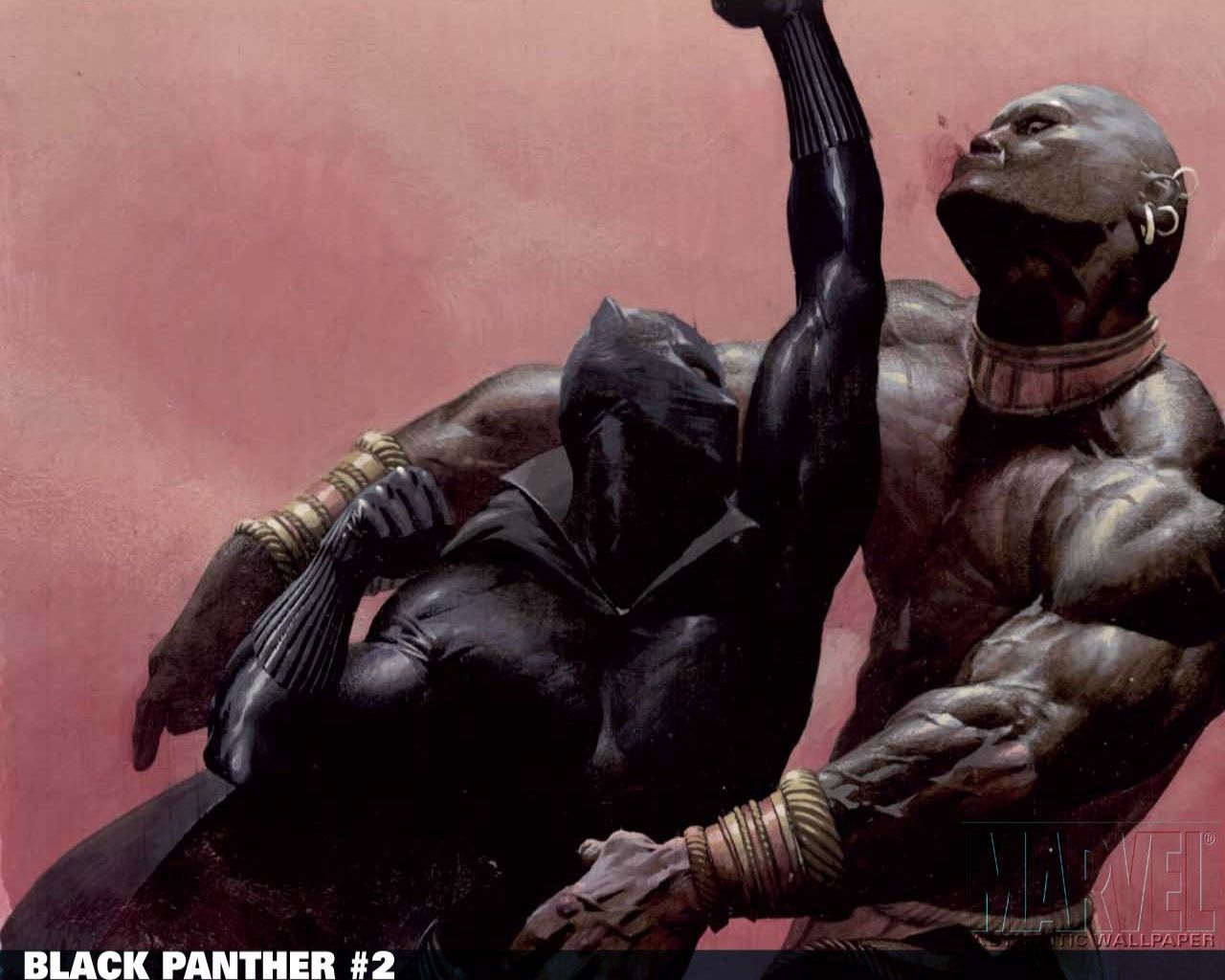 Free download Download Black Panther 2 Wallpaper Picture Photo