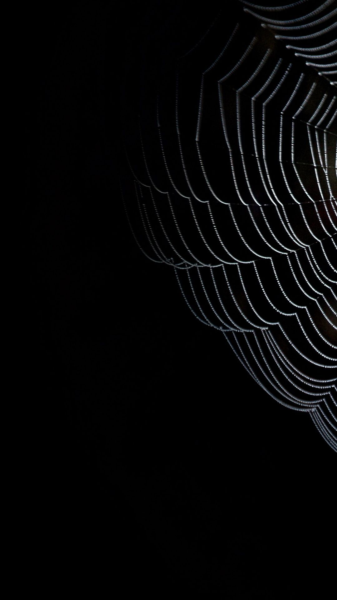 IPhone Wallpaper. Black, Spider Web, Black And White, Darkness