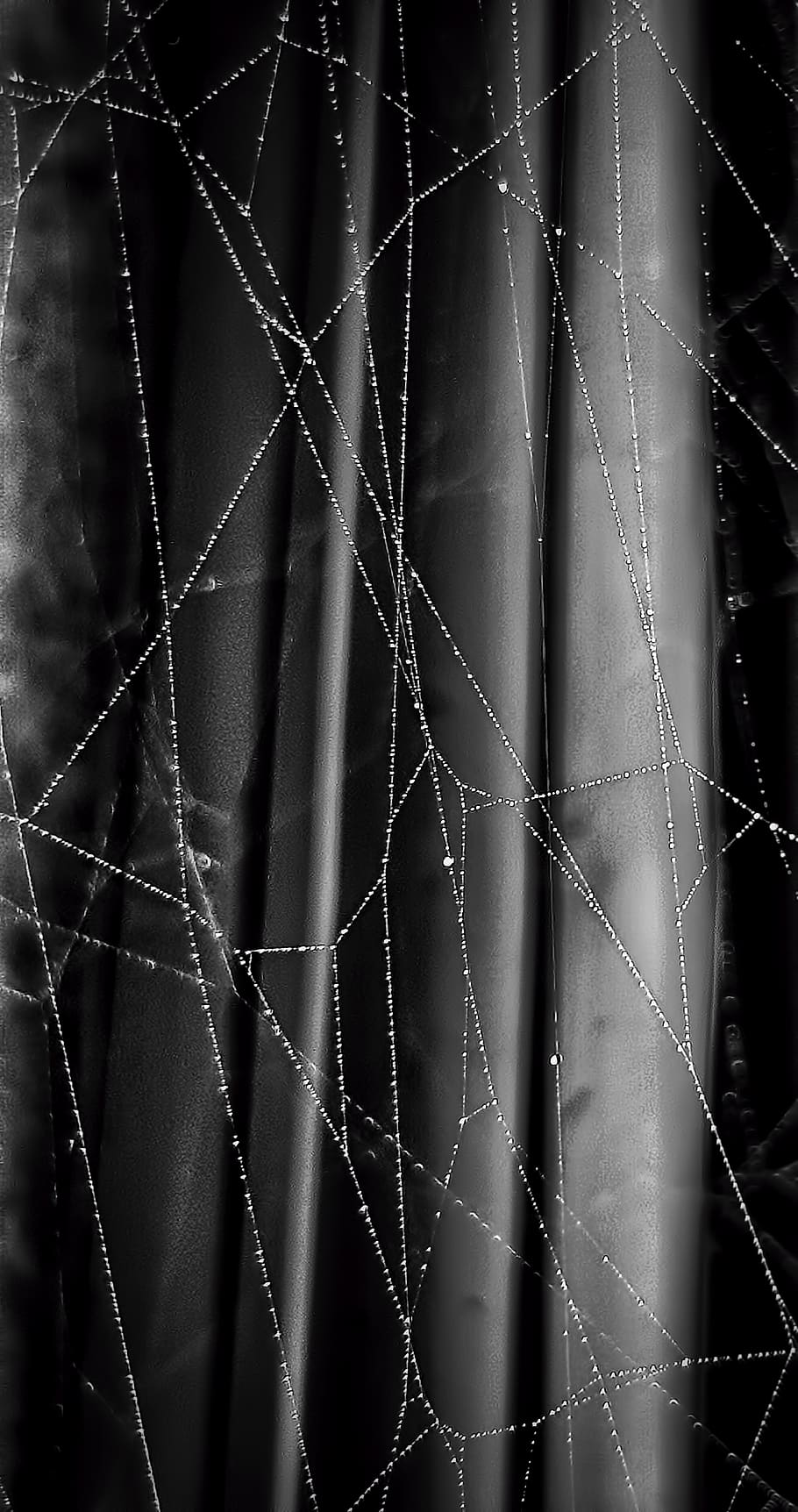 HD wallpaper: spider web, light, strings, strands, still, black