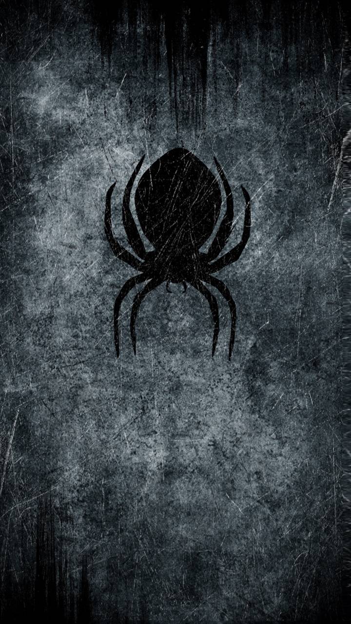 Black spider wallpaper