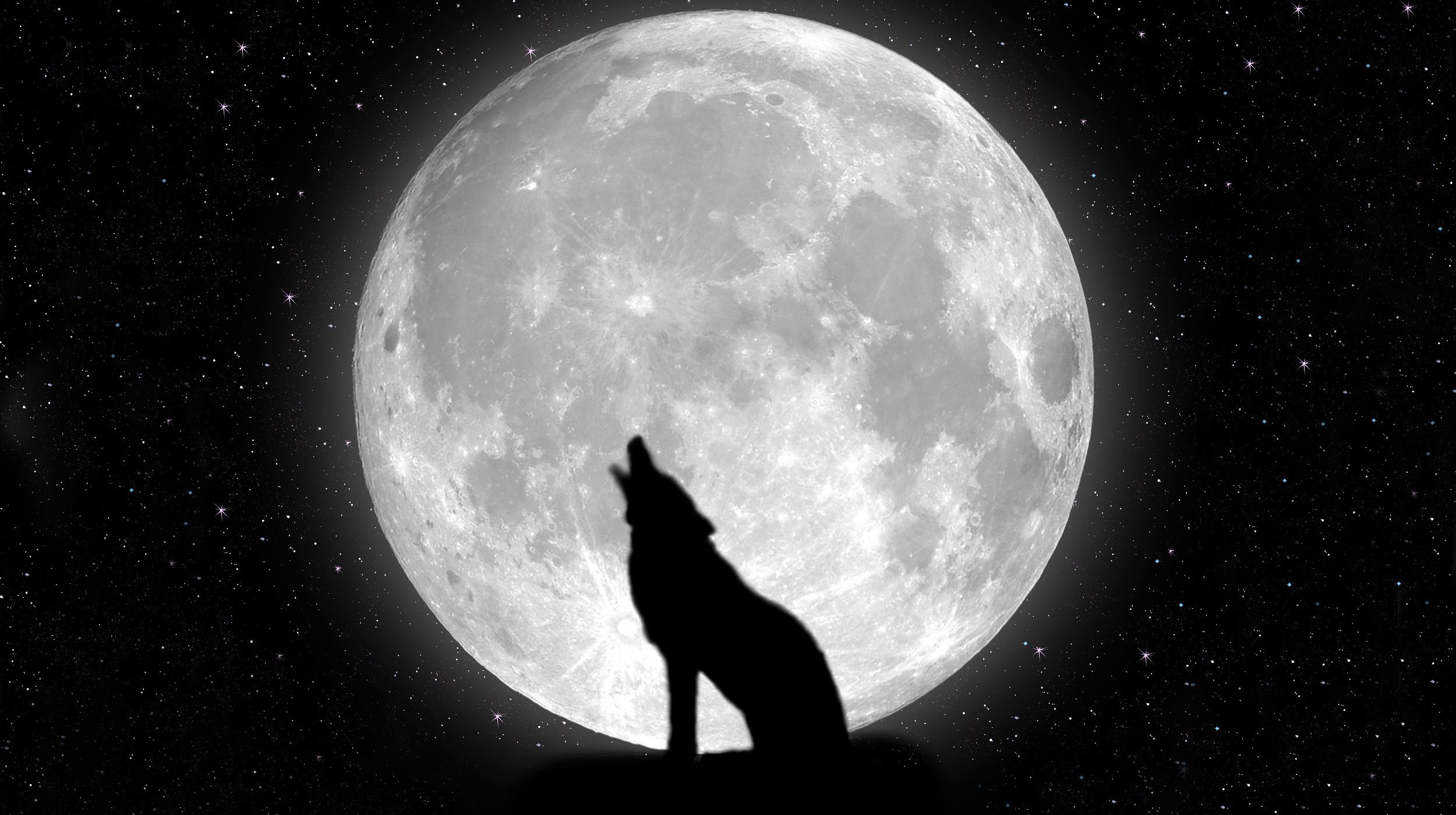 Wolf and Moon Wallpaper