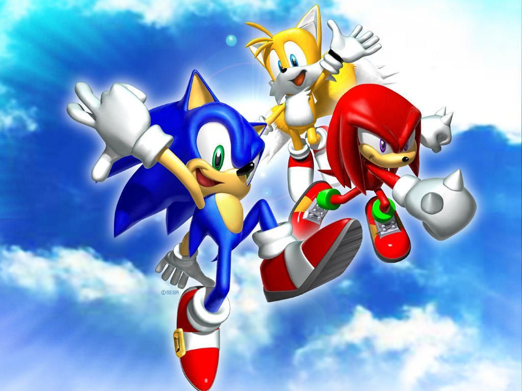 Sonic Heroes Team Sonic. Hedgehog birthday, Sonic birthday, Sonic