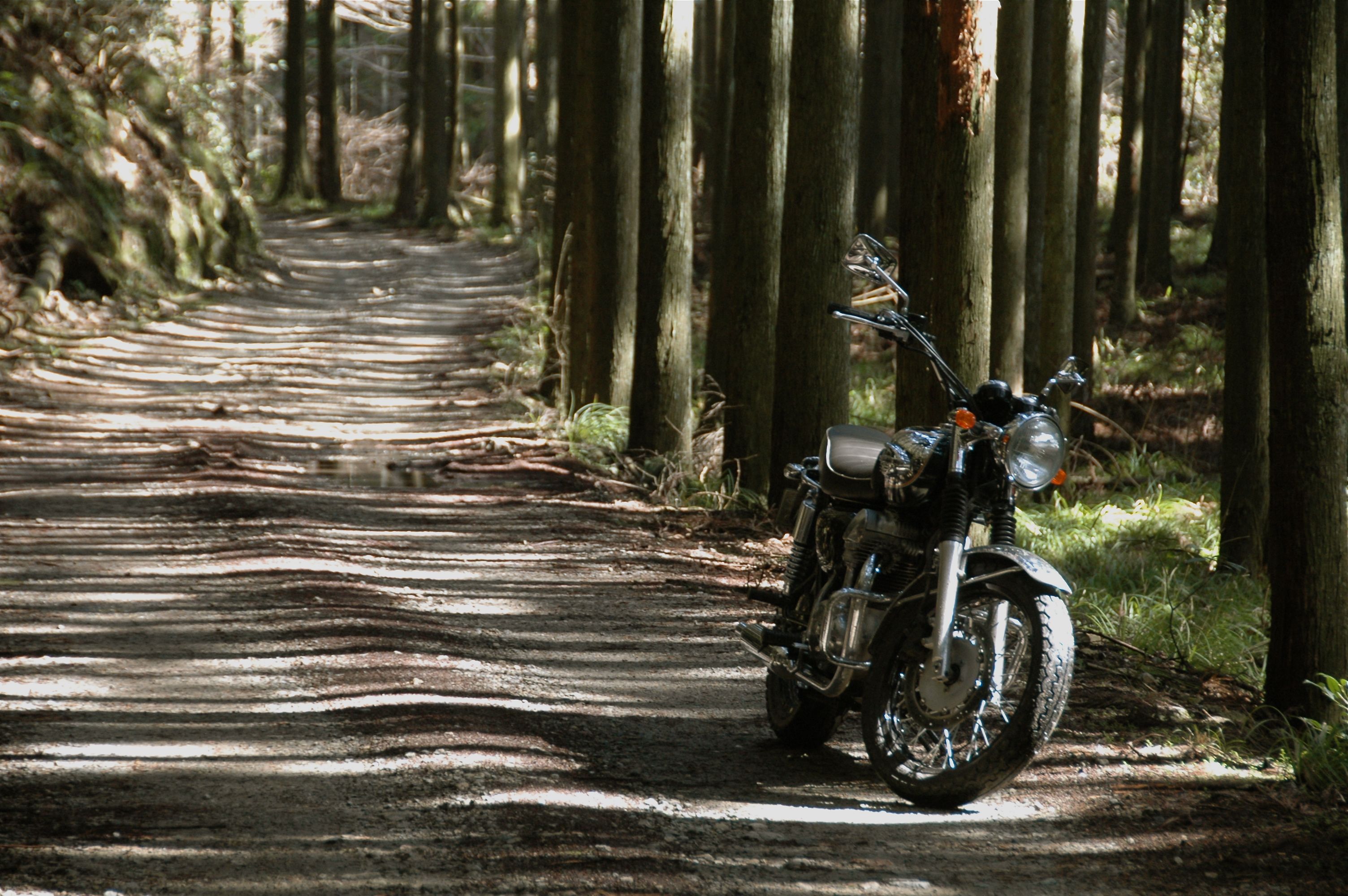 Motorcycle Nature Wallpaper HD Wallpaper