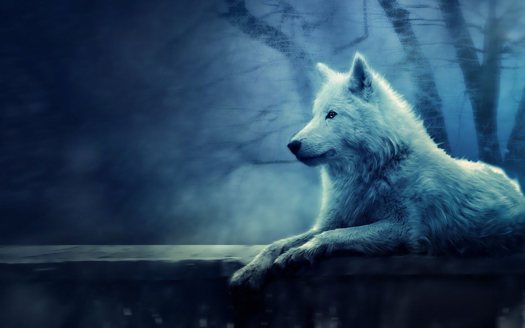 Neon Blue Wolf Wallpapers - Wallpaper Cave