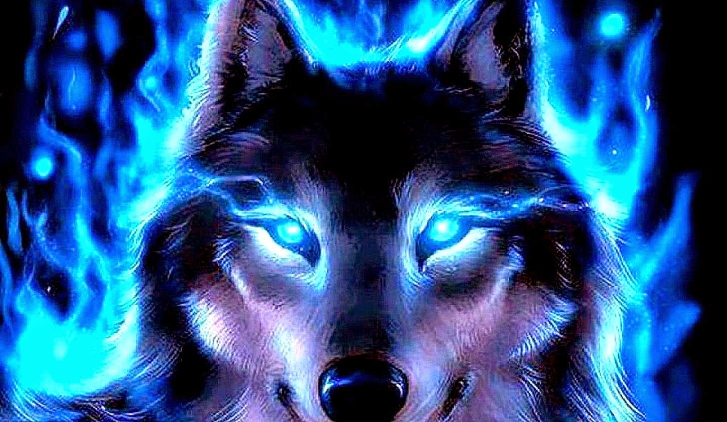Free download Blue Wolf Best HD Wallpaper Quality