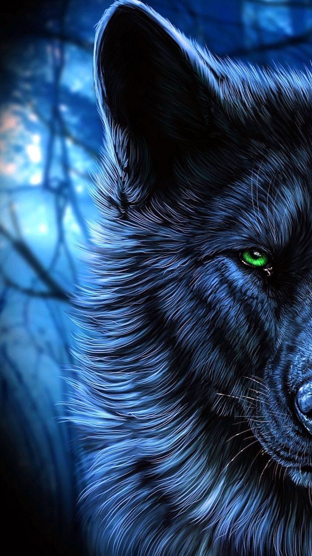 Blue Wolf Wallpapers  Wallpaper Cave