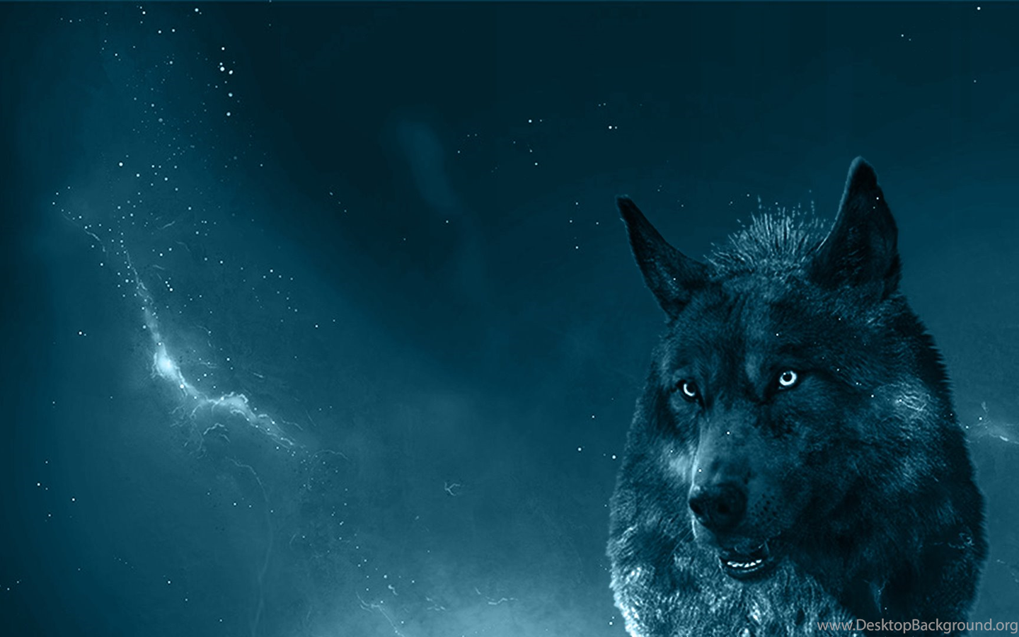 Blue Wolf Wallpaper Imgur Desktop Background