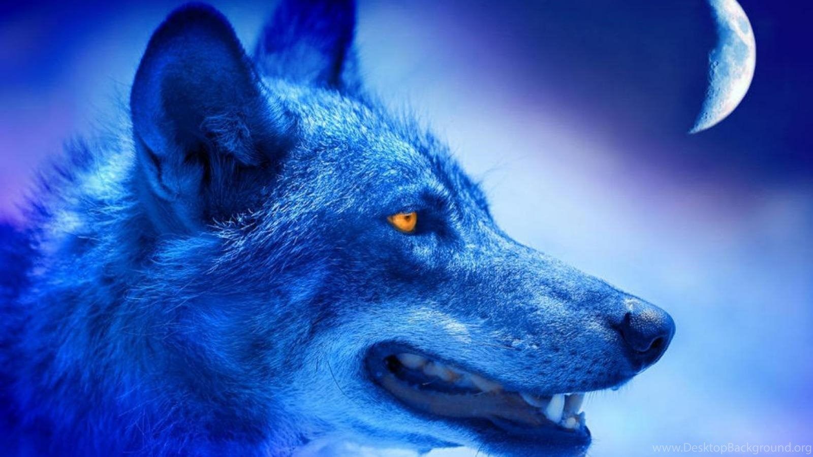 Blue Wolf Wallpaper Free Blue Wolf Background