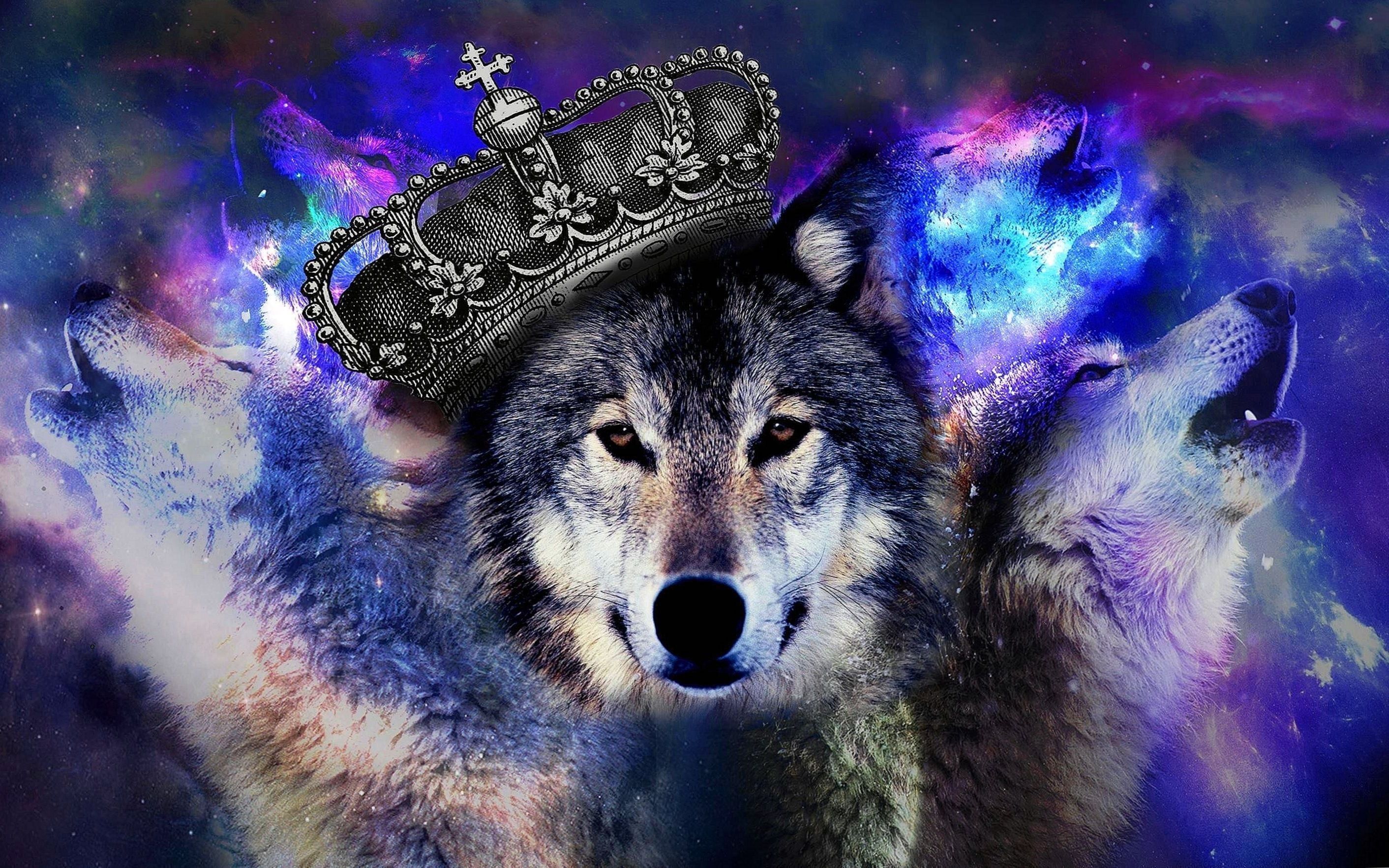 Cool Blue Wolf Wallpaper #Cool #Blue #Wolf #Wallpaper. Wolf wallpaper, Galaxy wolf, Anime wolf