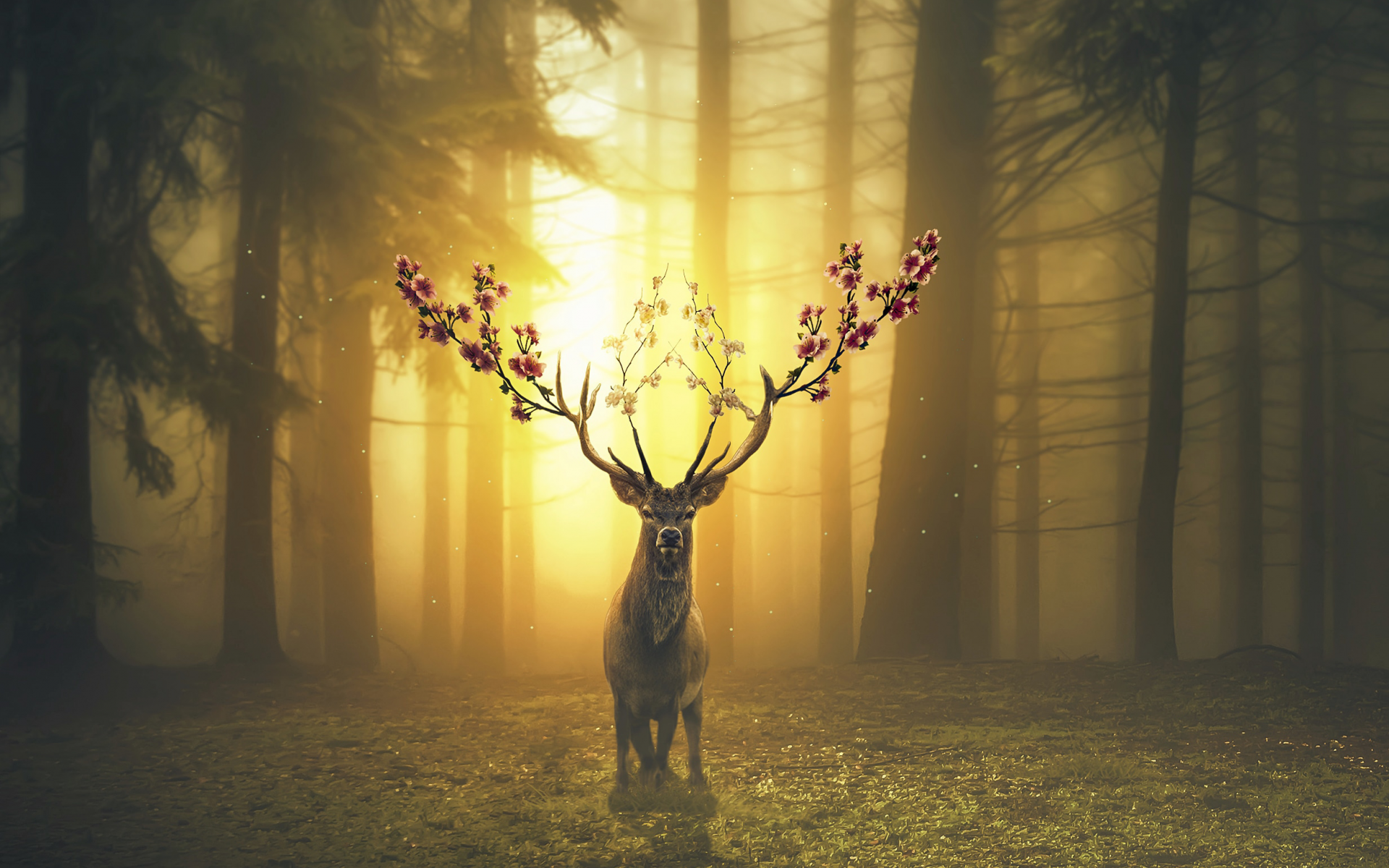 Fantasy Deer In Forest Surreal Wallpaper Deer