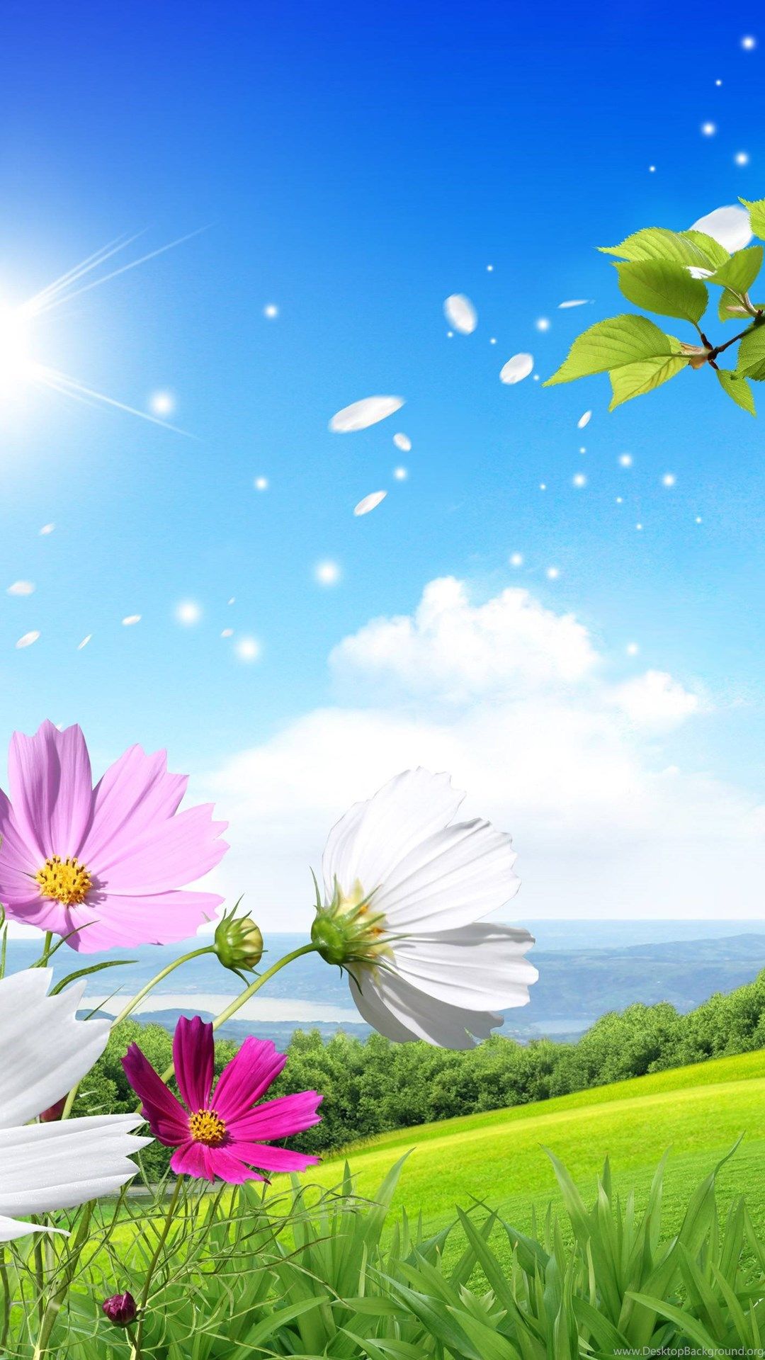 Spring Wallpaper For iPhone 6 Wallpaper & Background Download