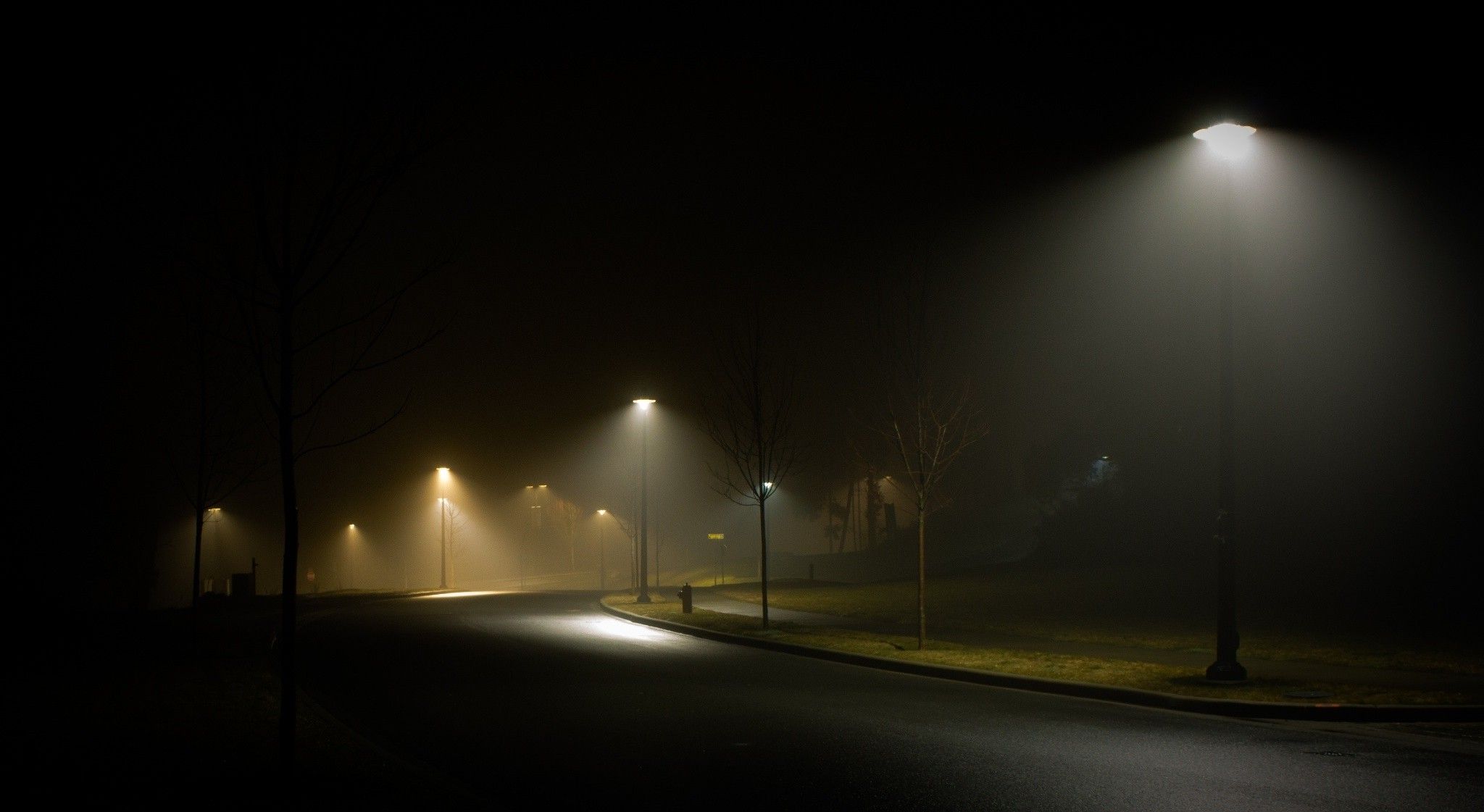 landscape, Nature, Street, Night, Street Light, Mist, Grass