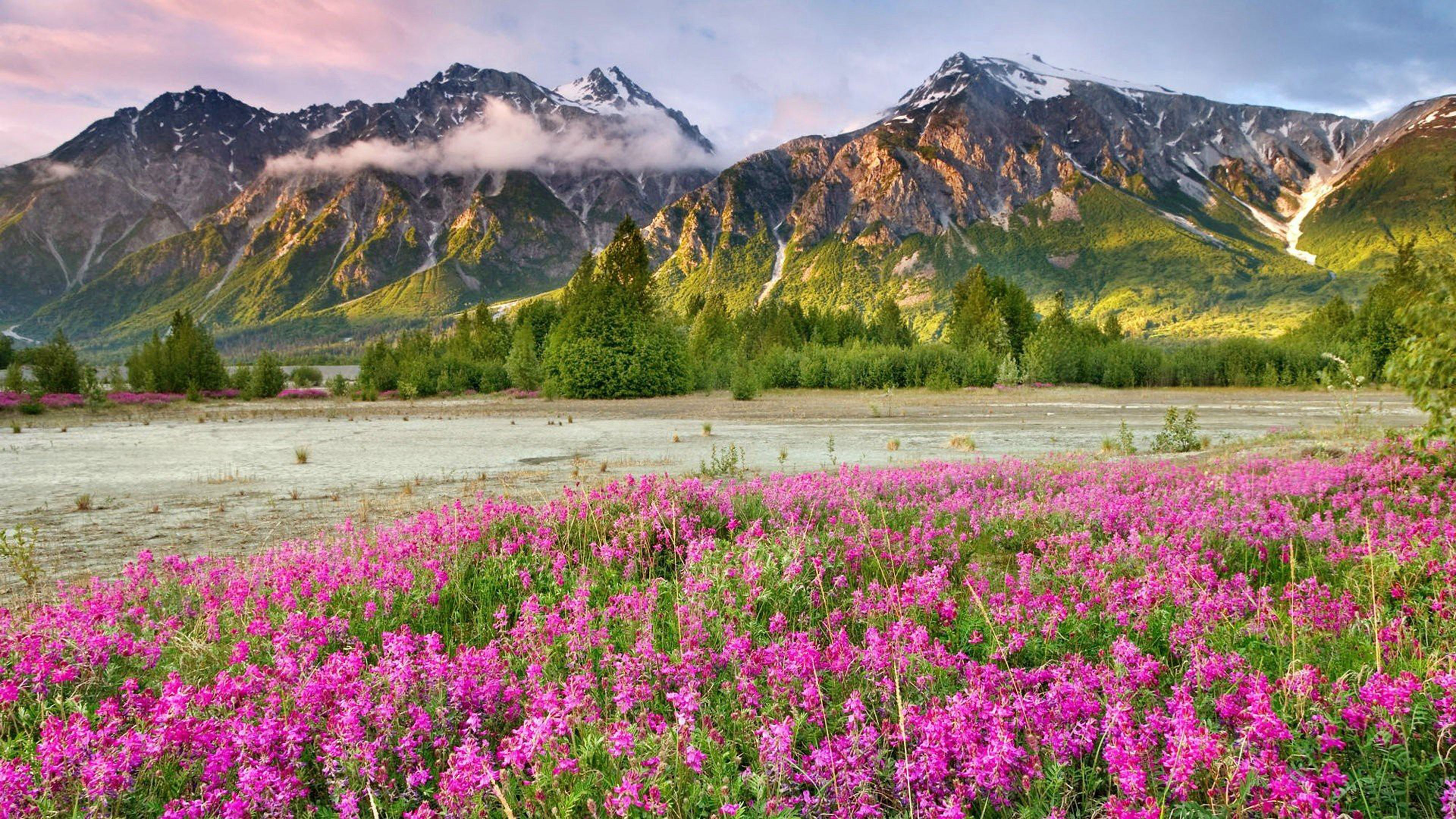 Spring Mountain Landscape Canada Meadow