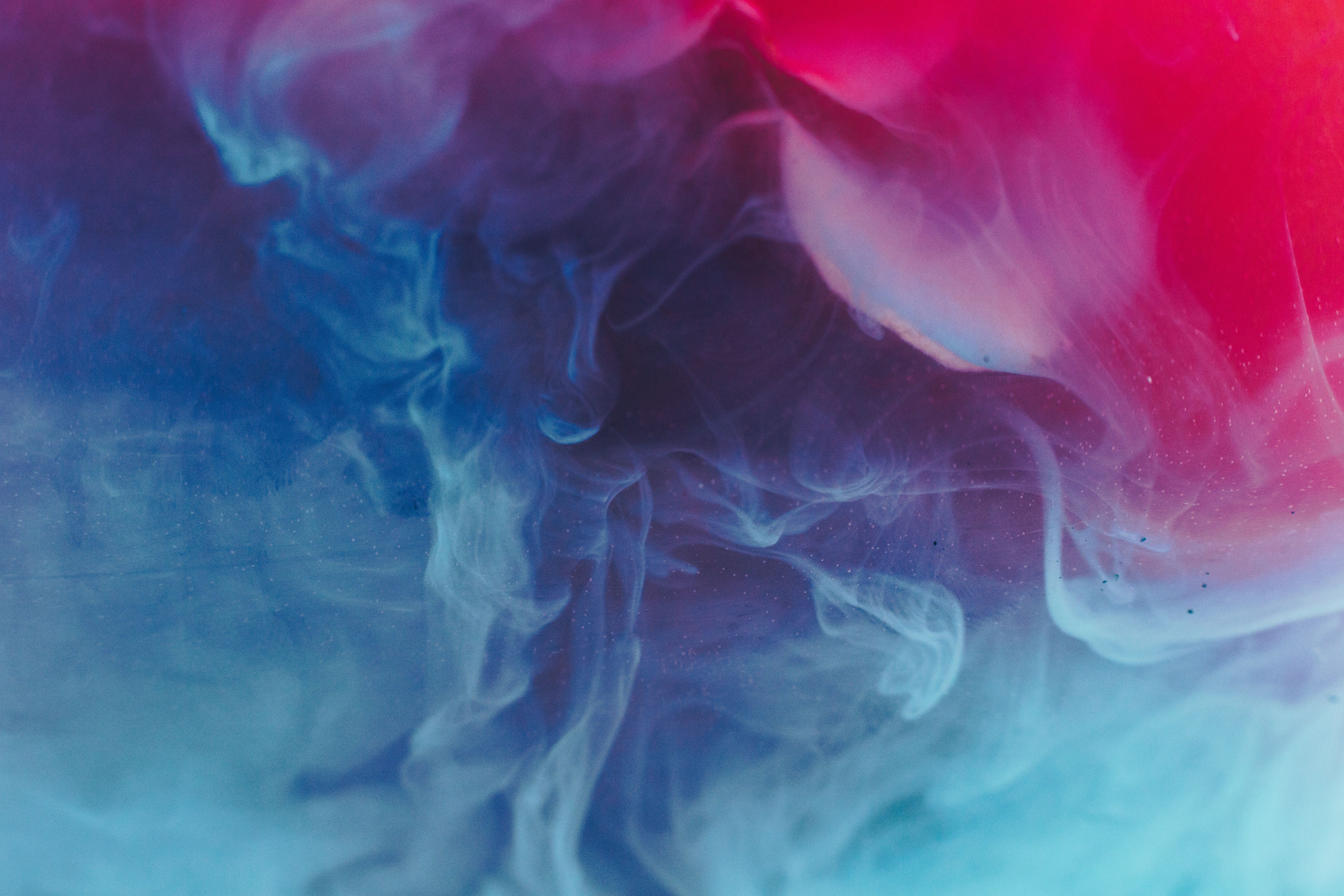 5472x3648 #pattern, #smoke, #blue, #flower, #nature