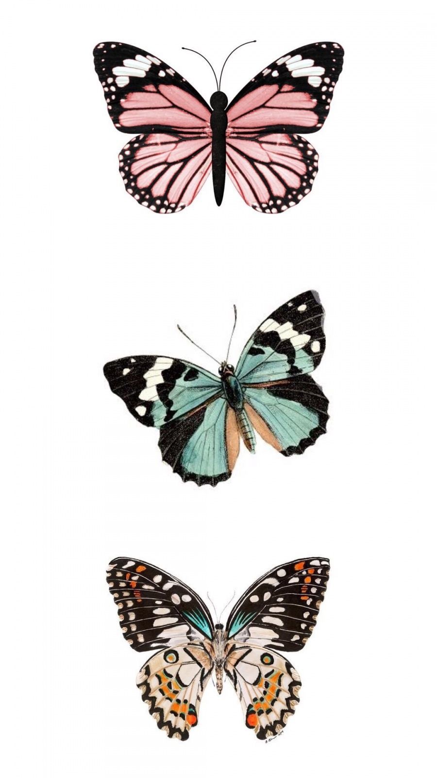 VSCO. Wallpaper iphone cute, Butterfly