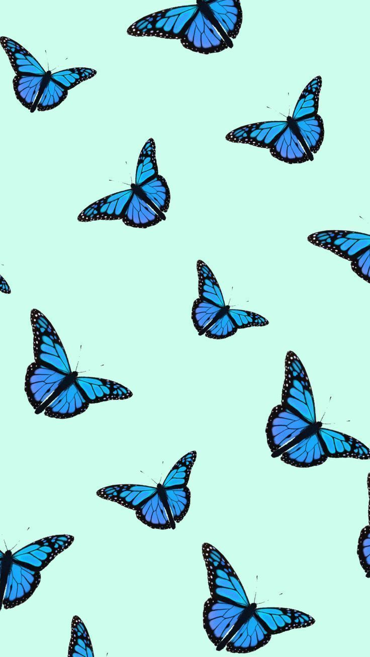 TGI GREEK. Butterfly wallpaper iphone, Butterfly