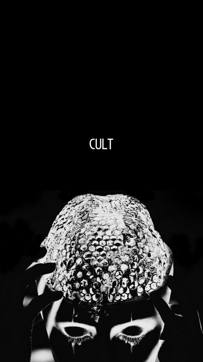 cult bmx logo wallpaper