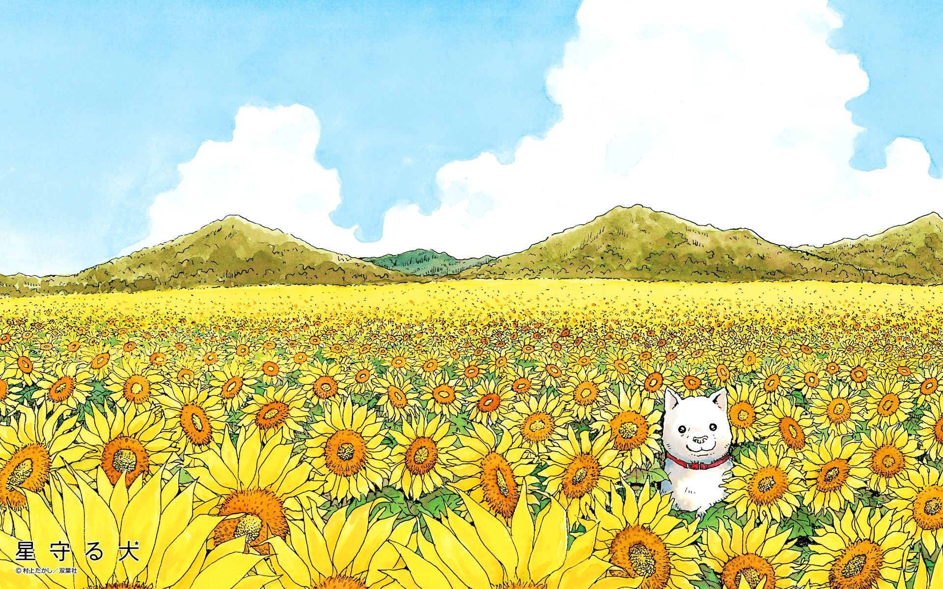 Murakami 4K wallpaper for your desktop or mobile screen free