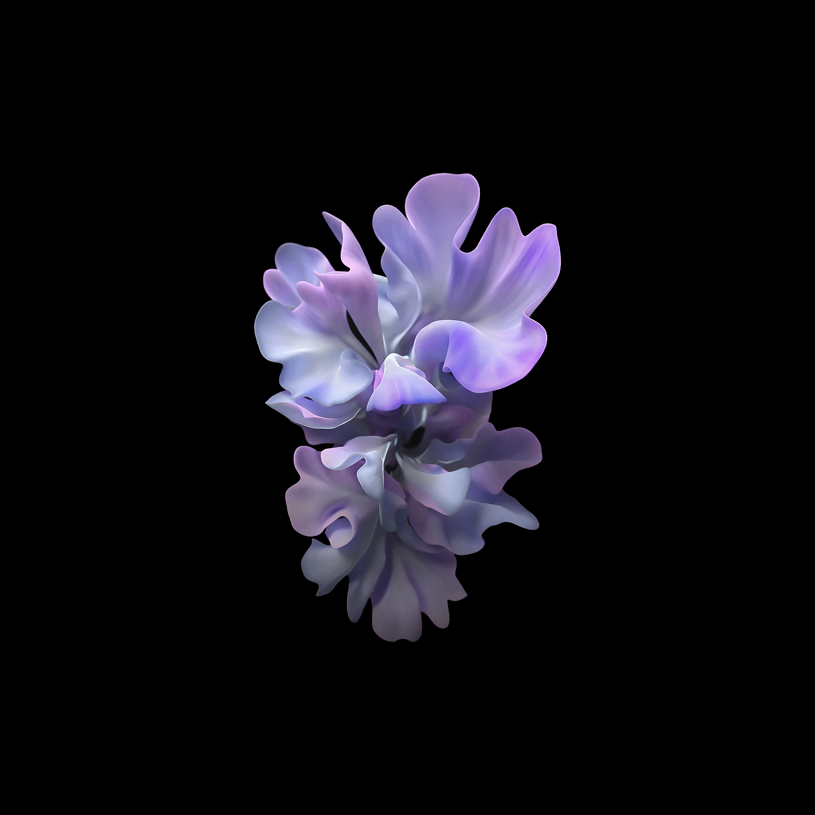 Download Galaxy Z Flip wallpaper and see your home screen 'bloom'