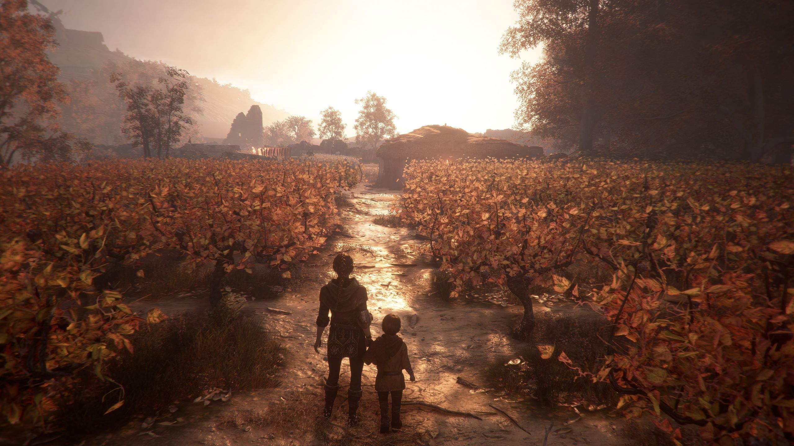 A Plague Tale Innocence 4K 1440P Resolution Wallpaper