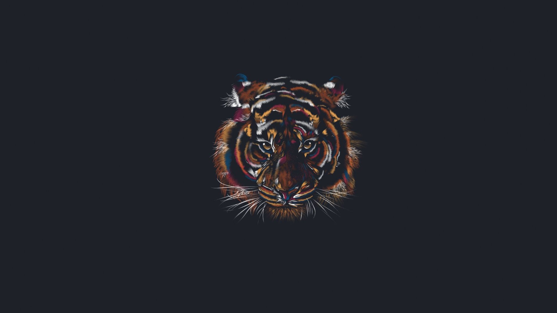 Minimalist Tiger Wallpaper Free Minimalist Tiger Background