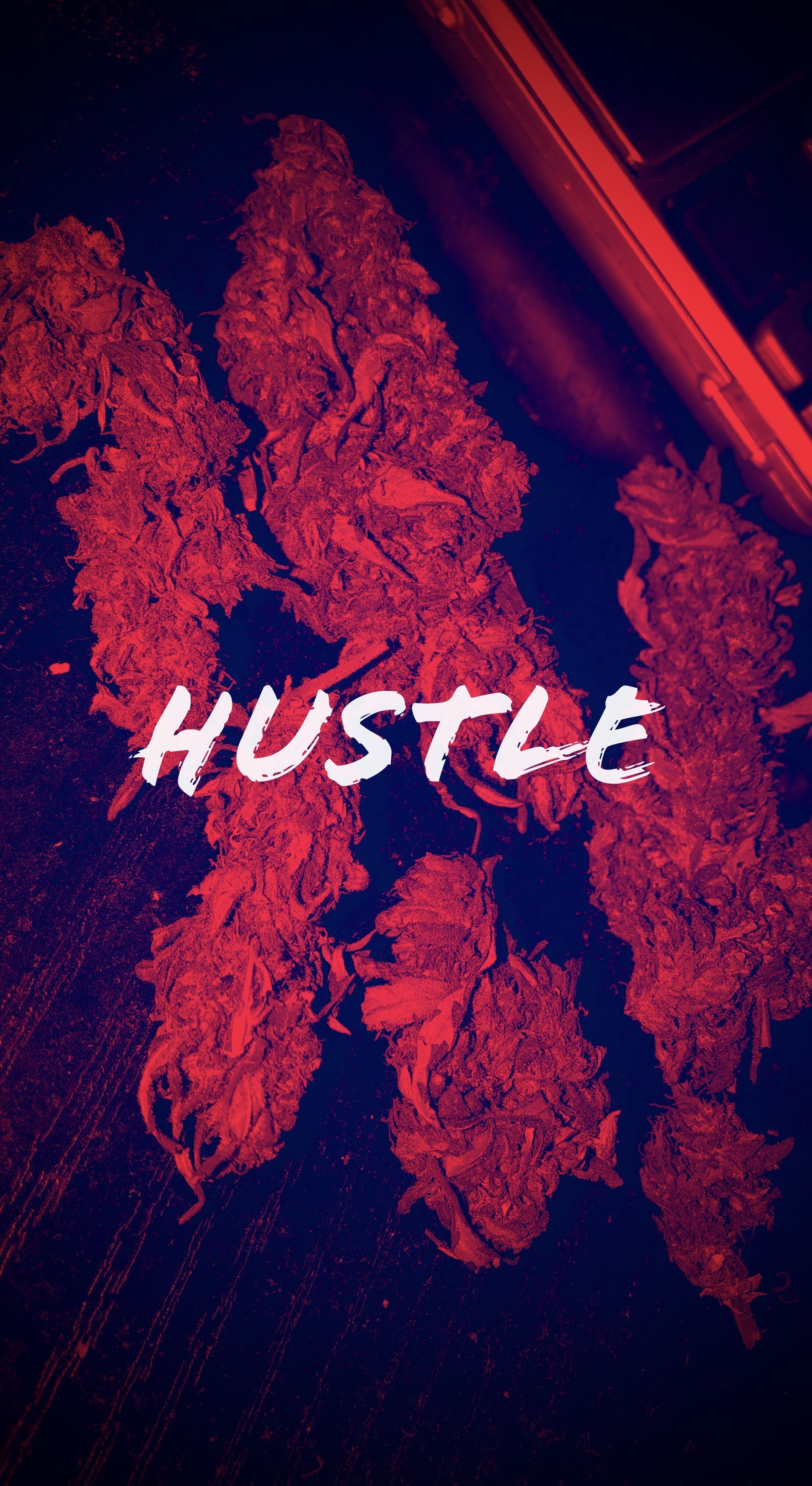 Hustle wallpaper (buds). Words