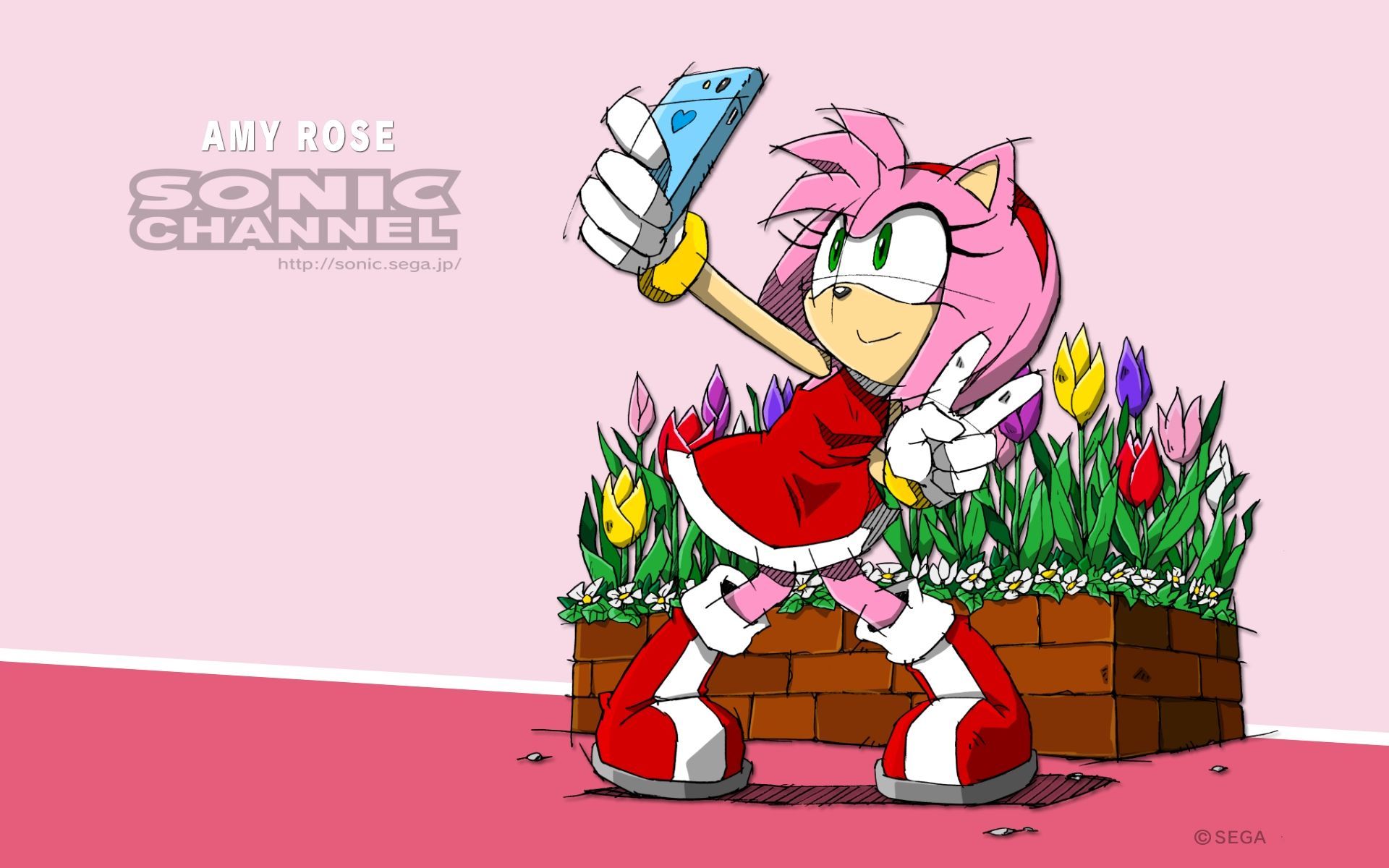 Amy Rose April 2016 Sonic Channel Wallpaper within Sonic Channel