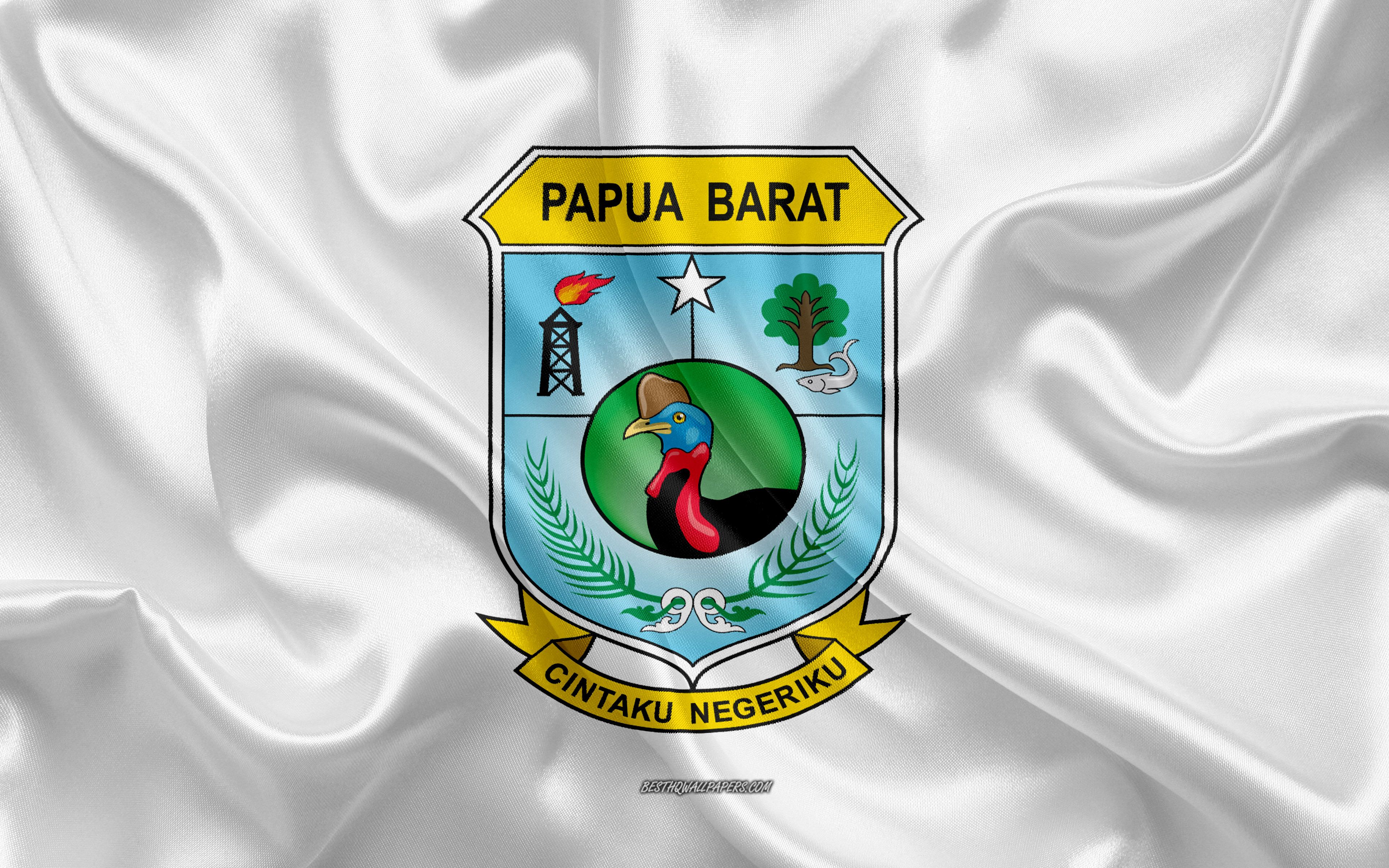 Download wallpaper Flag of West Papua, 4k, silk flag, province