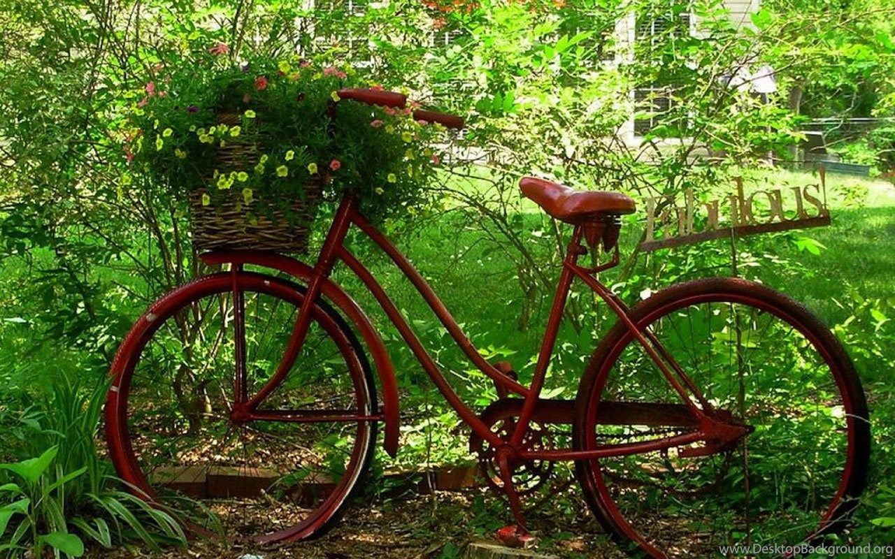 The Nostalgic Memory Bicycles Aesthetic Photography Wallpaper 5