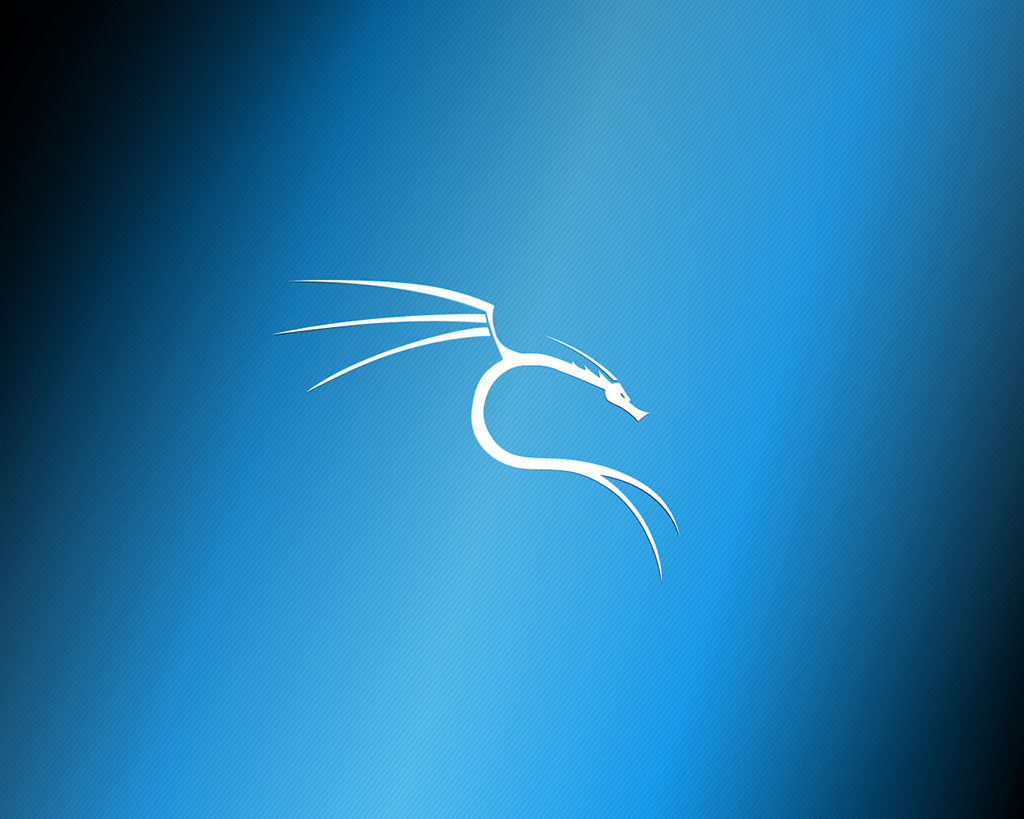 Kali Linux Background 4k