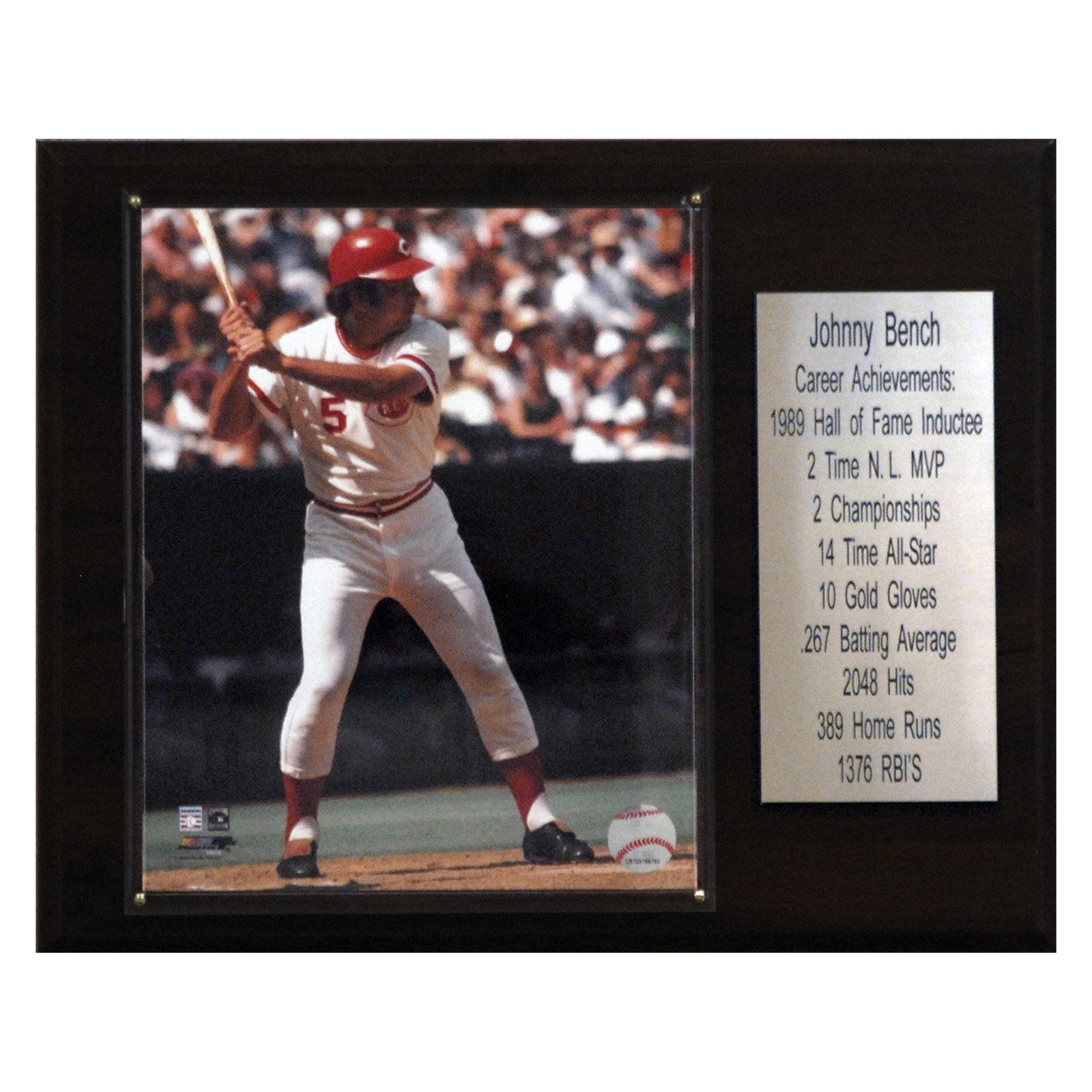 MLB 12 x 15 in. Johnny Bench Cincinnati Reds Career Stat Plaque